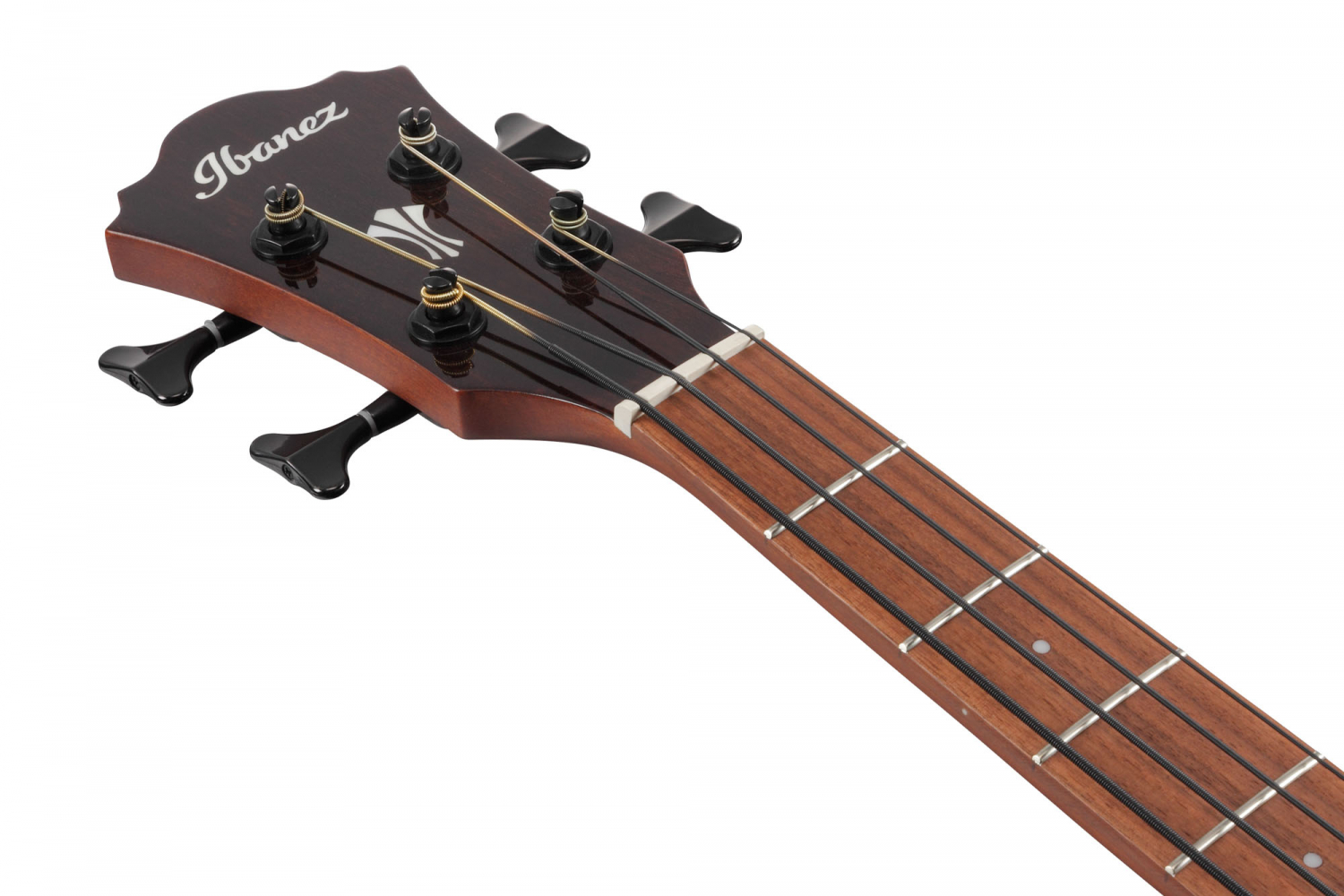 Ibanez AEGB24E-MHS Acoustic Bass - 4