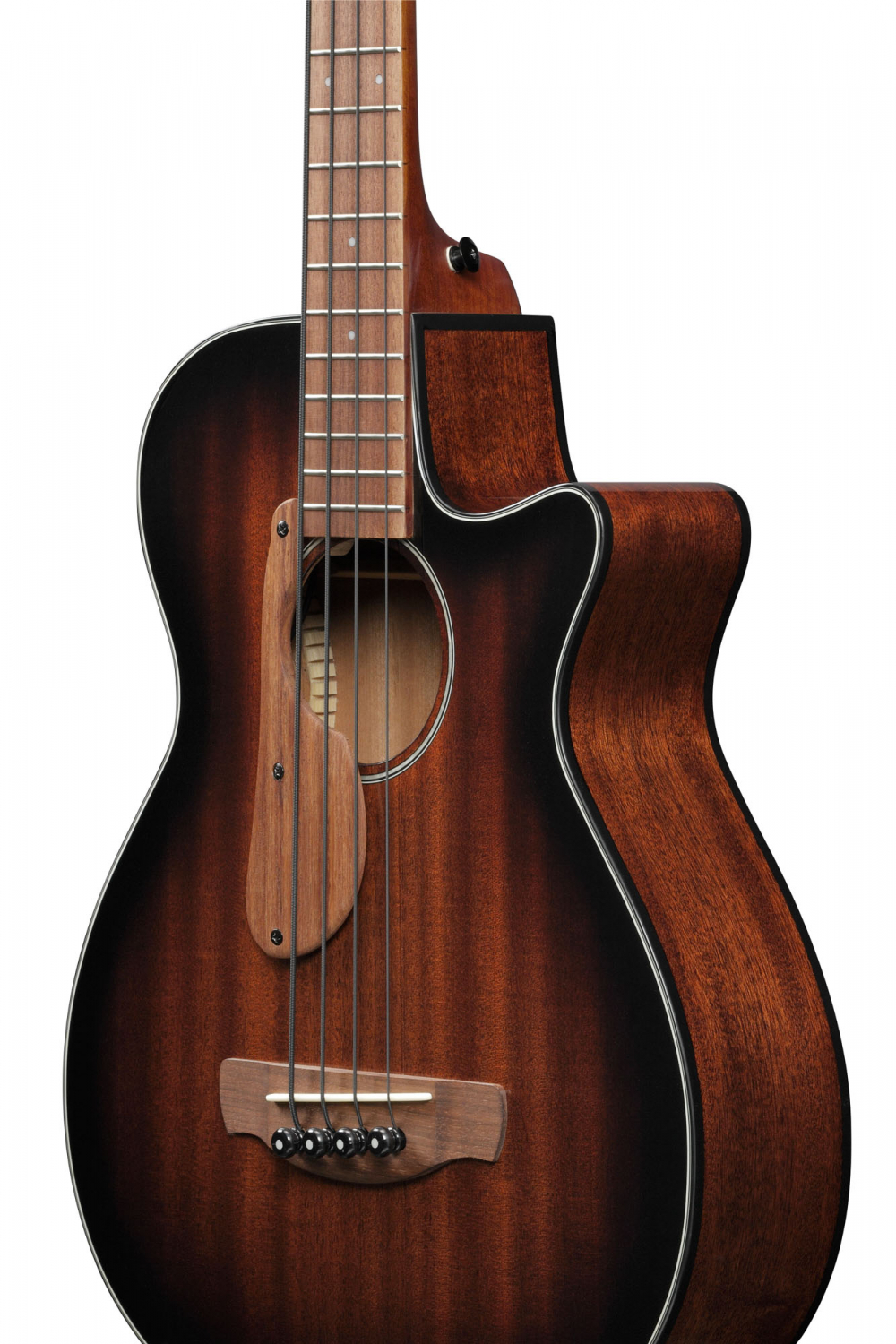 Ibanez AEGB24E-MHS Acoustic Bass - 3