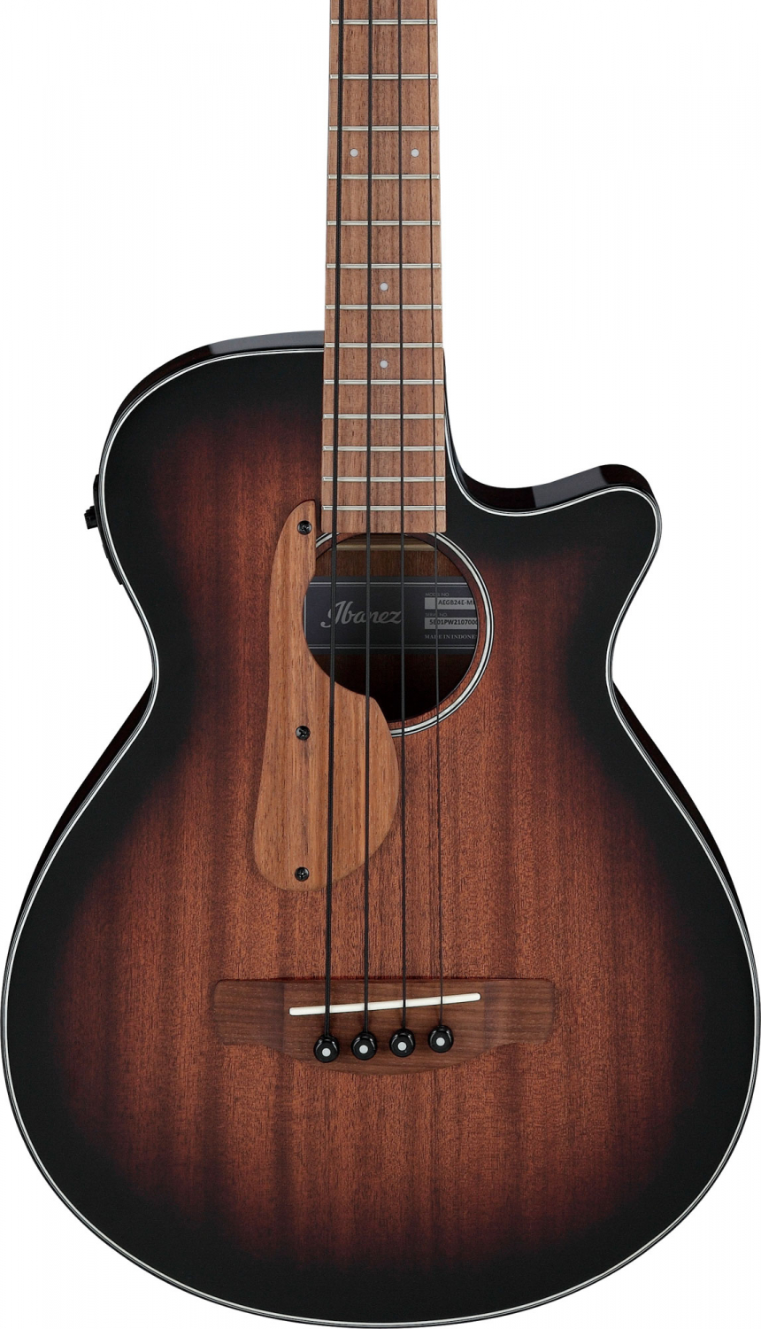 Ibanez AEGB24E-MHS Acoustic Bass - 2