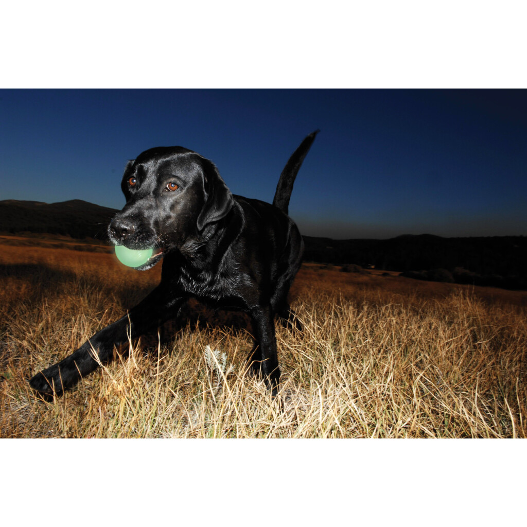 Chuckit! Max Glow Glow-in-the-Dark Dog Toy S - 1-Pack - durable