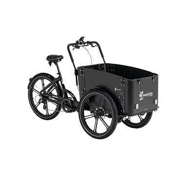 Cargobike Delight 