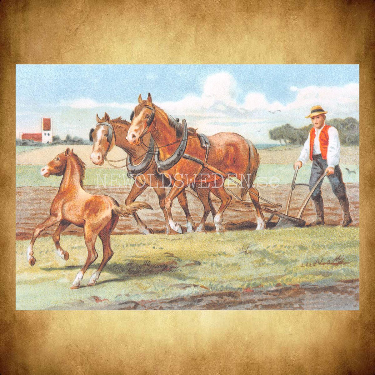 SKOLPLANSCH - Vårbruk - Vykort A5 - 2