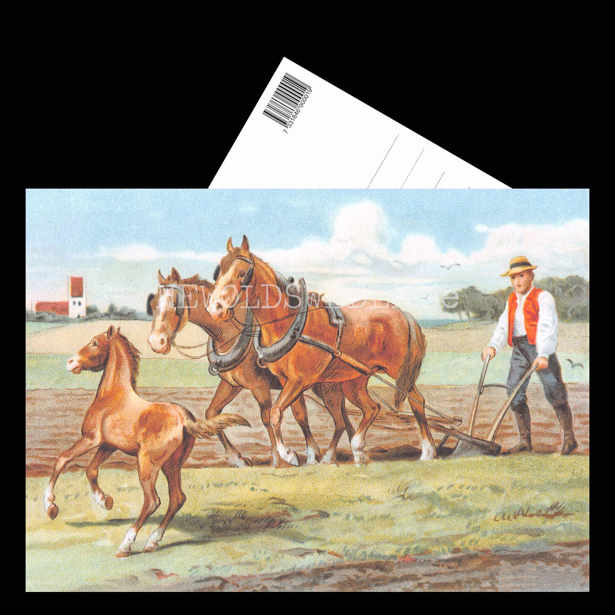 SKOLPLANSCH - Vårbruk - Vykort A5 - 3