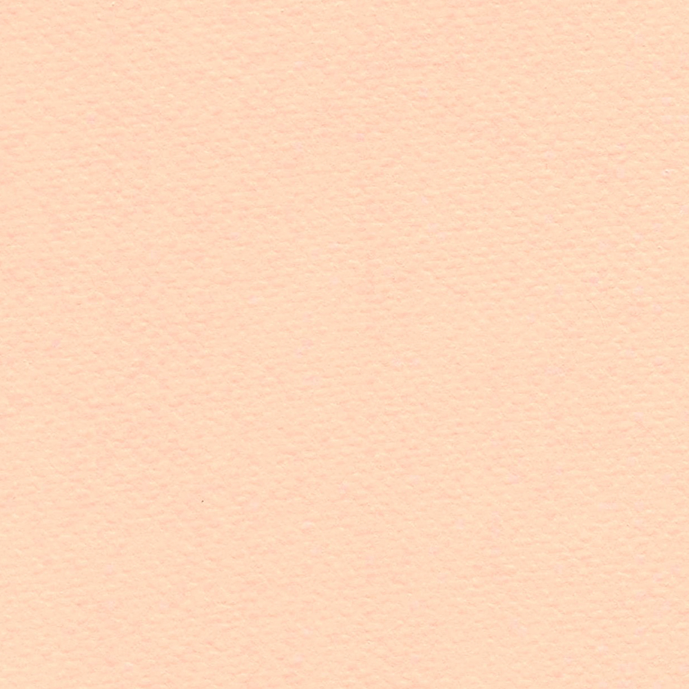 Tiziano, rosa
