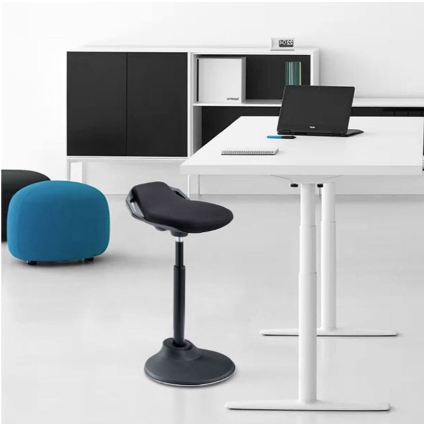 Balanspall Ergo - 3