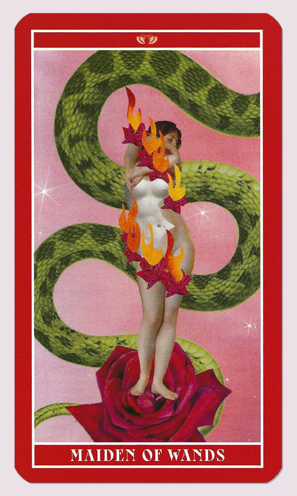 Goddess of Love Tarot Deck - Engelska - 2
