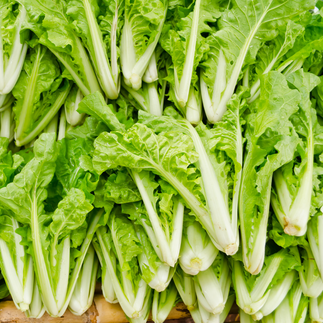 Ekologisk Asiatisk Salladskål - Tokyo Bekana