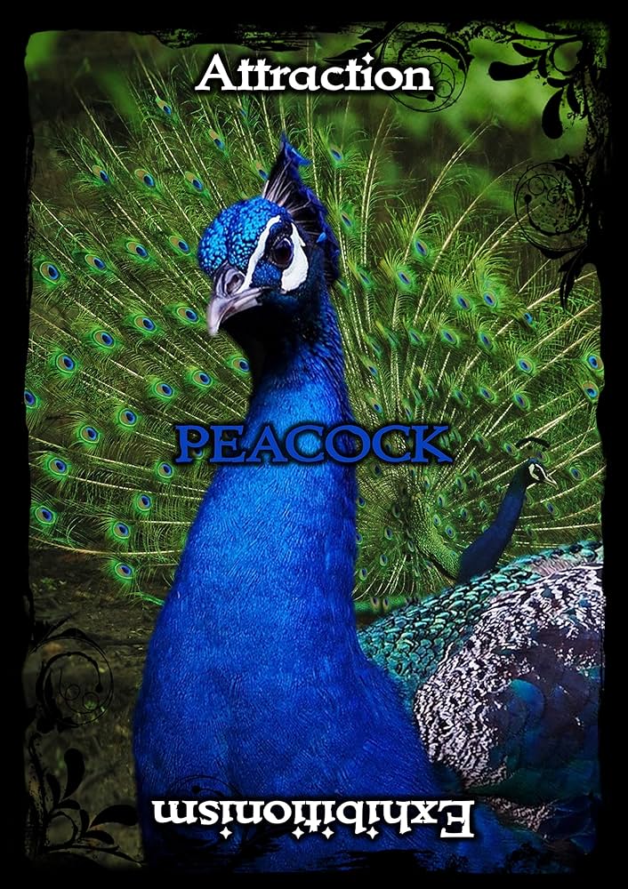 Animal Guidance & Aspects Oracle Cards - Engelska - 2
