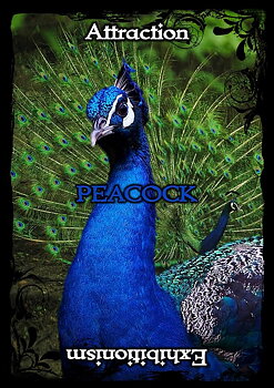 Animal Guidance & Aspects Oracle Cards - Engelska