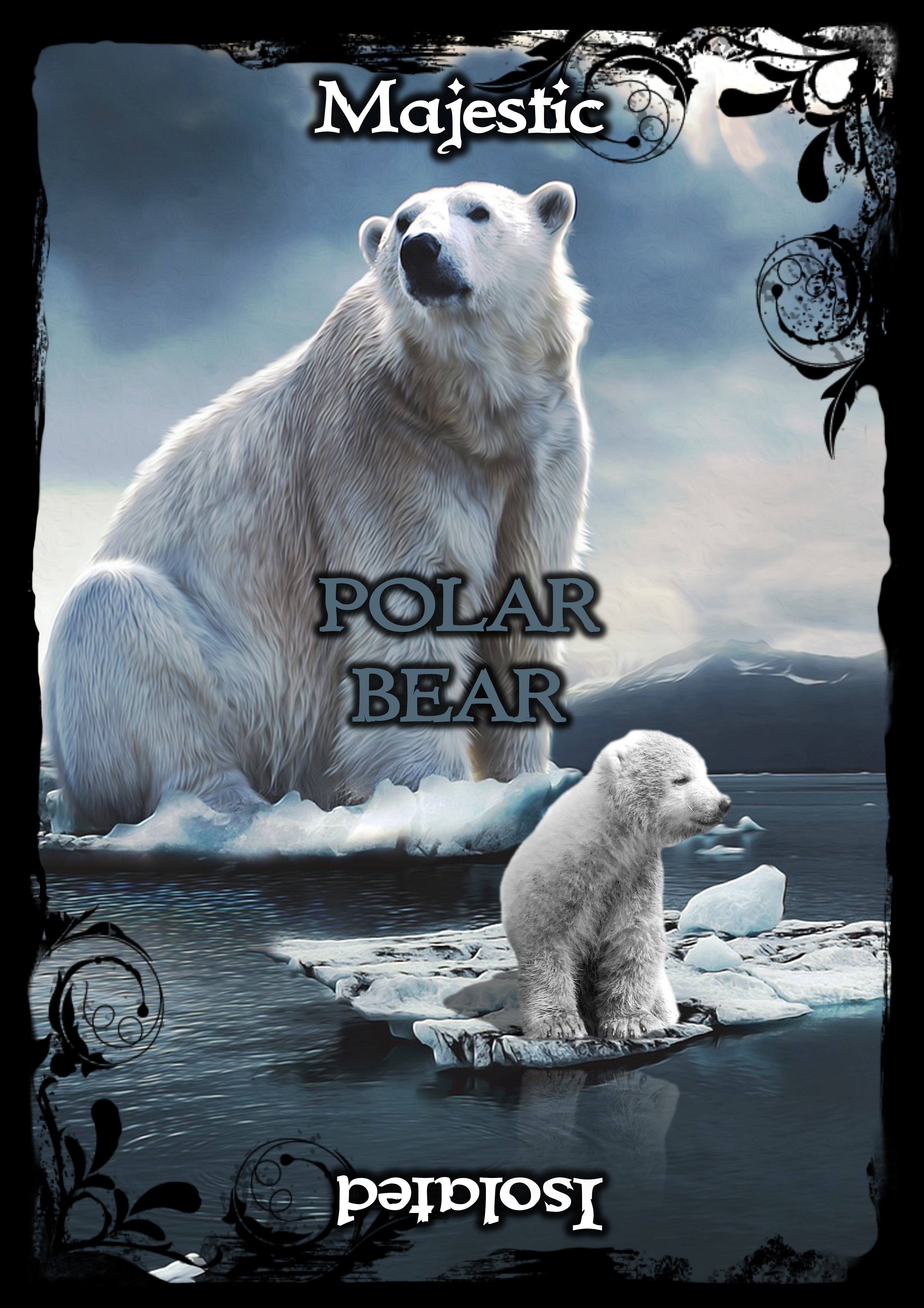 Animal Guidance & Aspects Oracle Cards - Engelska - 3