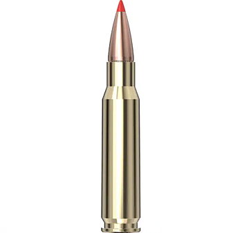 Hornady SST