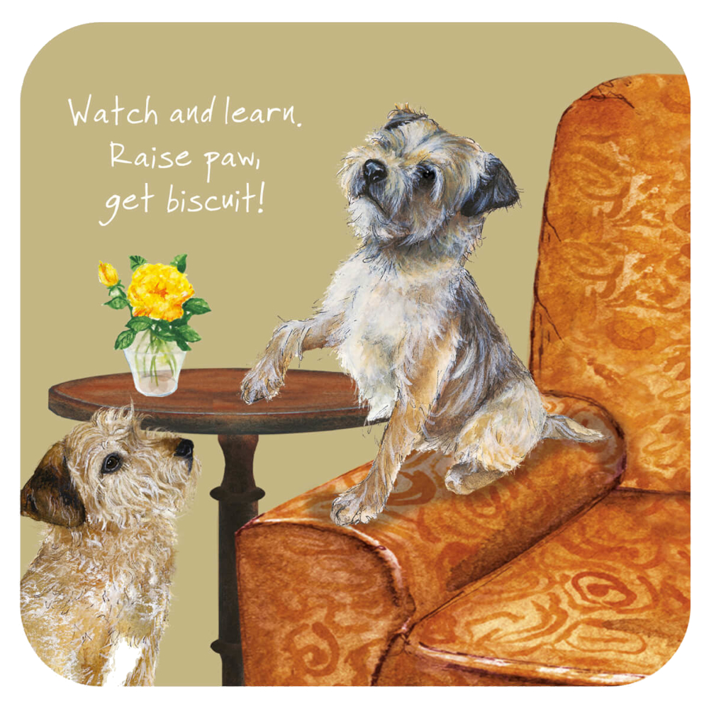 Coaster The Little Dog Laughed Dog Motif  Border Terriers