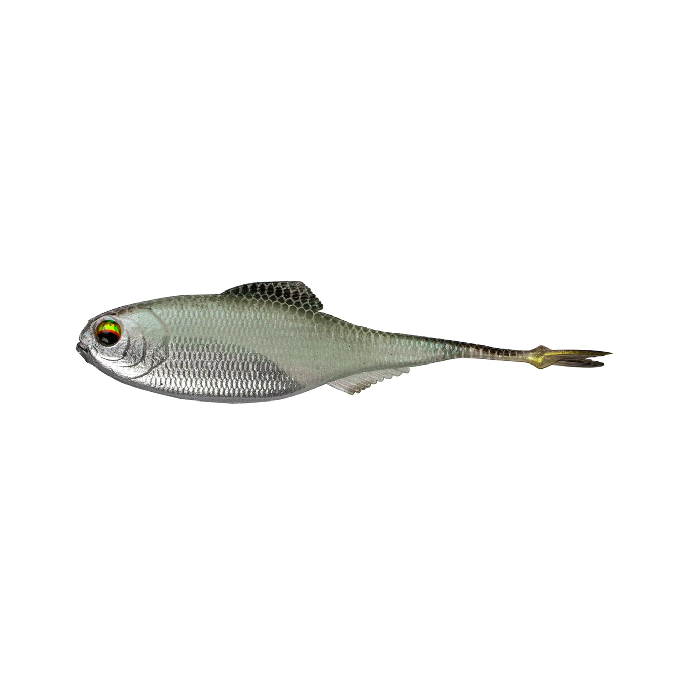 6th Sense Masterclass Fiction Shad - 3