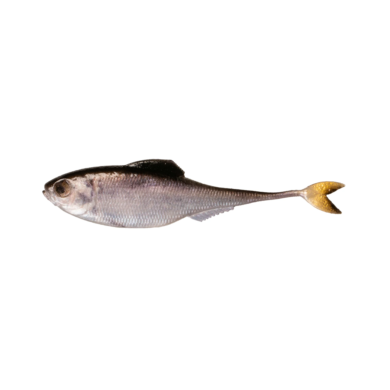 6th Sense Masterclass Fiction Shad