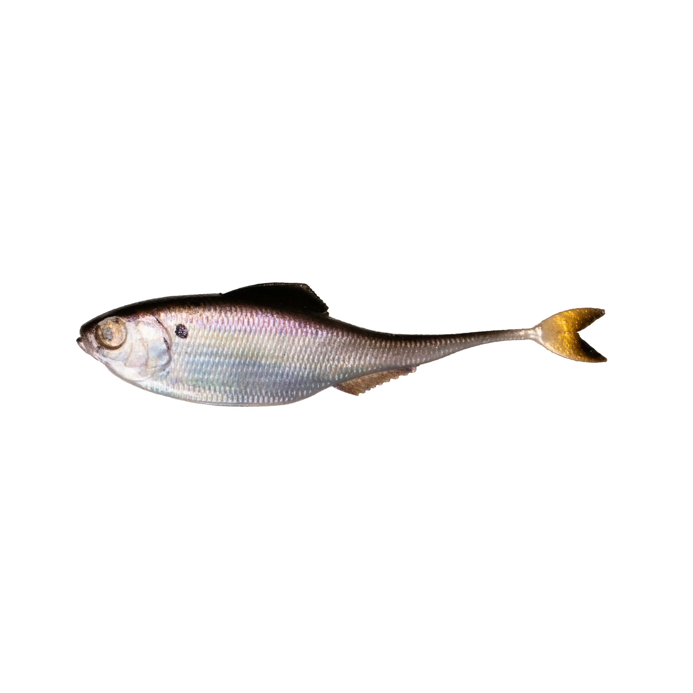 6th Sense Masterclass Fiction Shad - 4