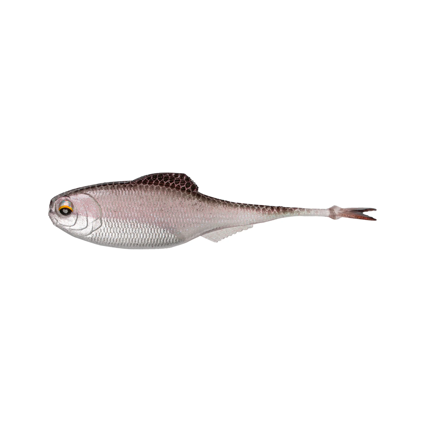 6th Sense Masterclass Fiction Shad - 2