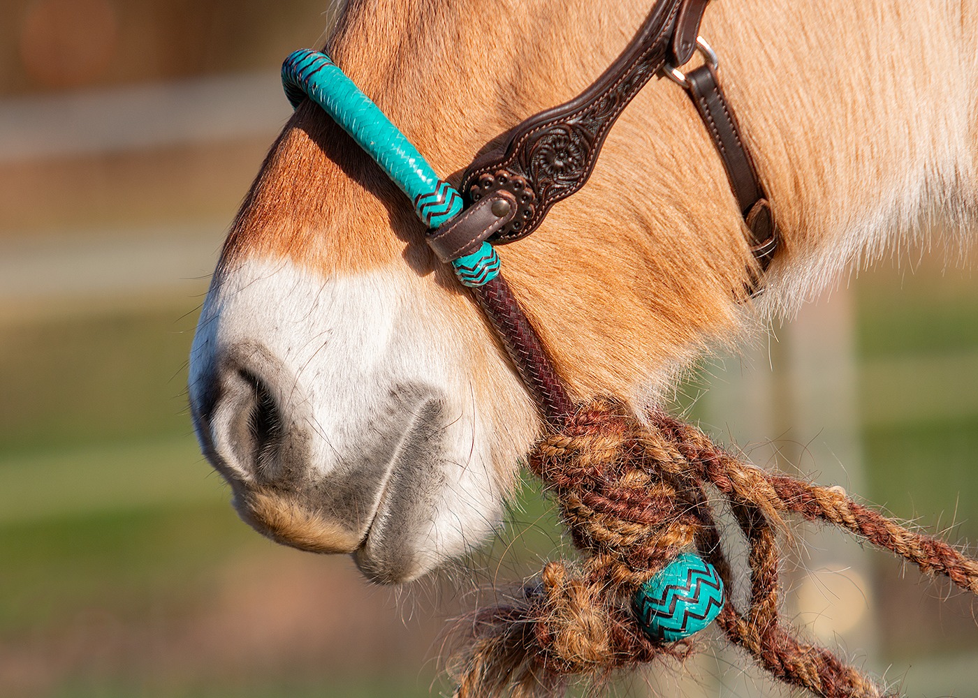 Edix® Chara Bosal Rawhide Turquoise - 2
