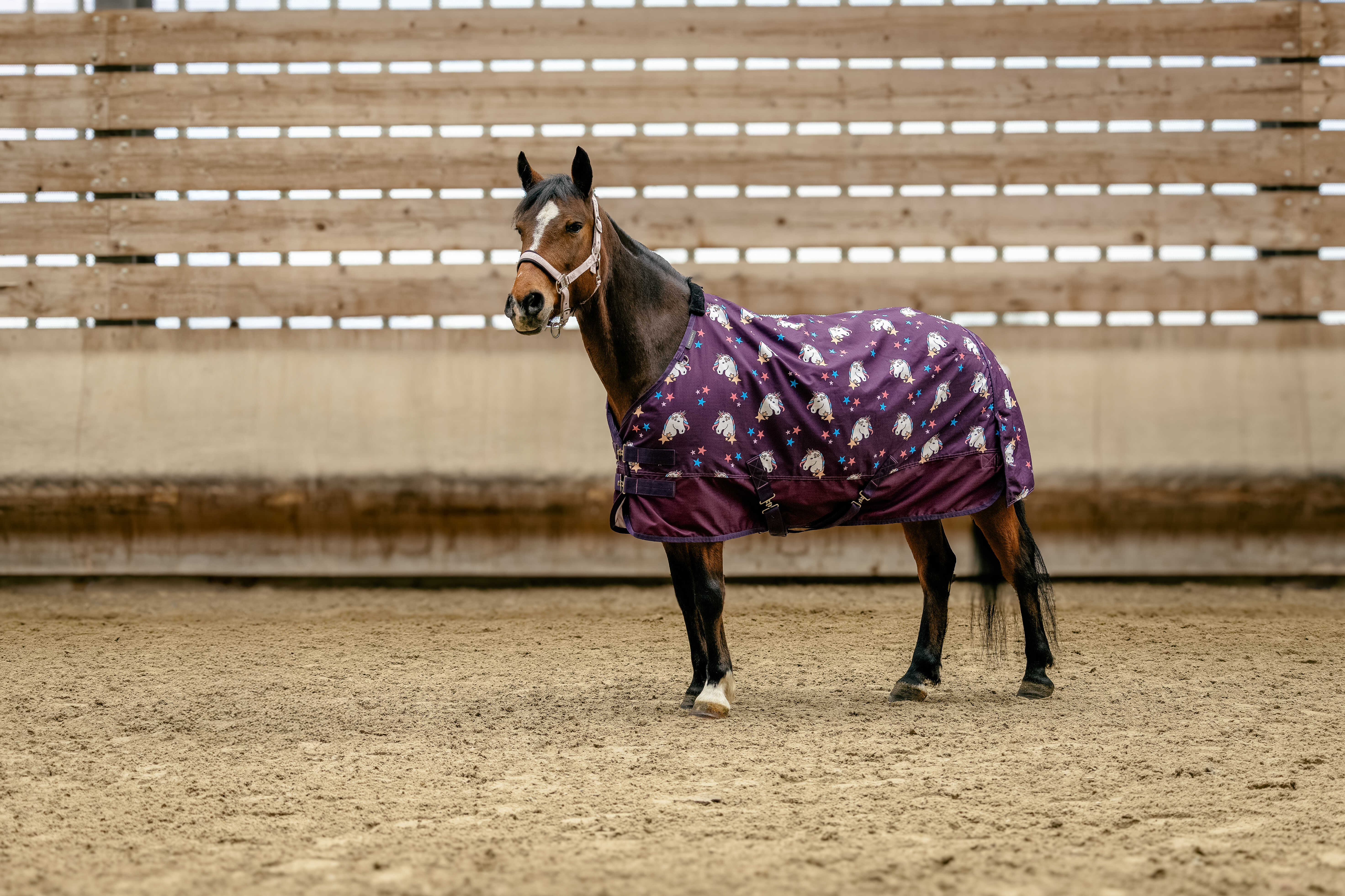 Equitheme Unicorn Horse Rug 600 D Plum - 2
