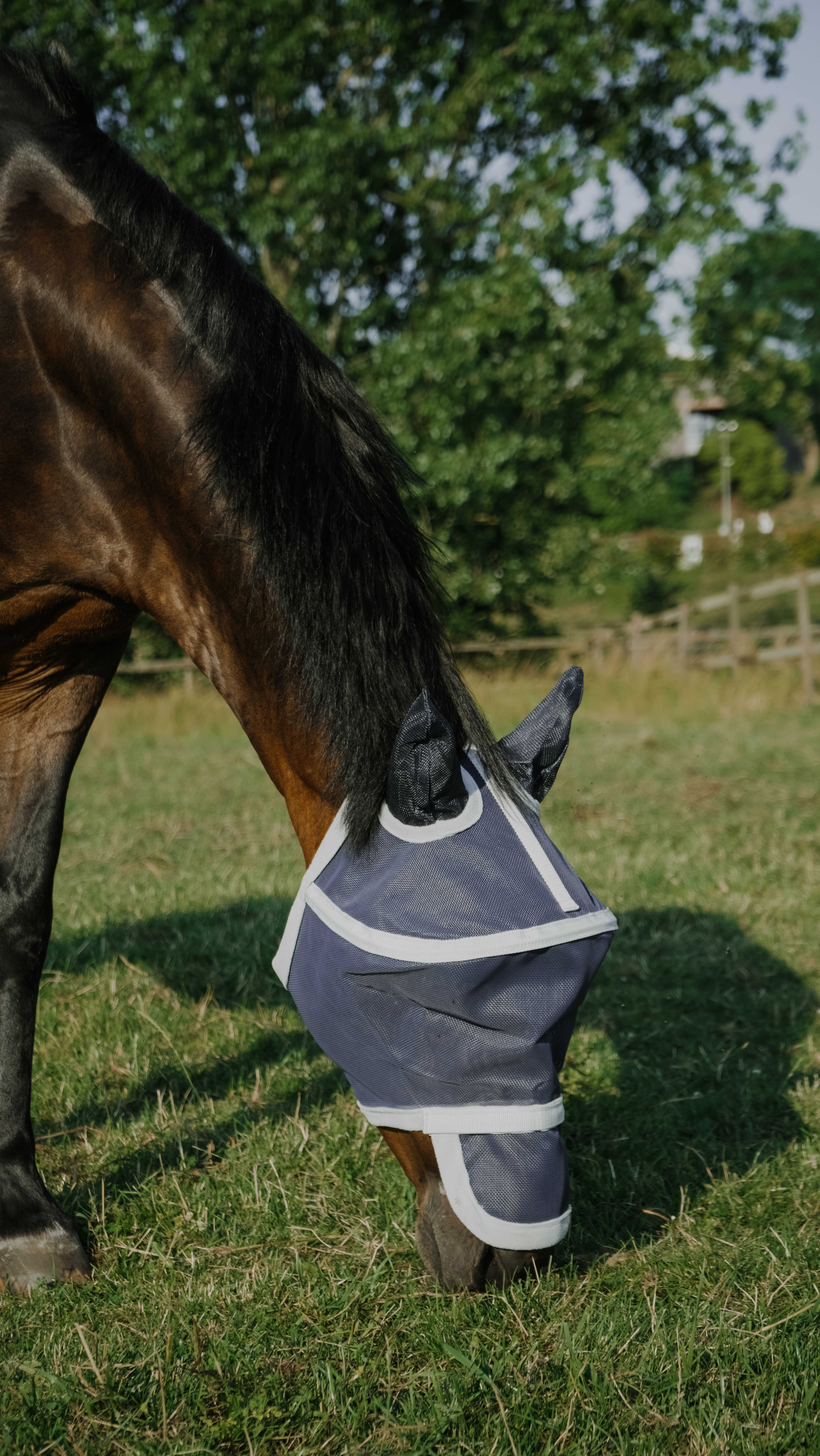Equitheme Cerceau UV/Fly Hood Navy blue - 2