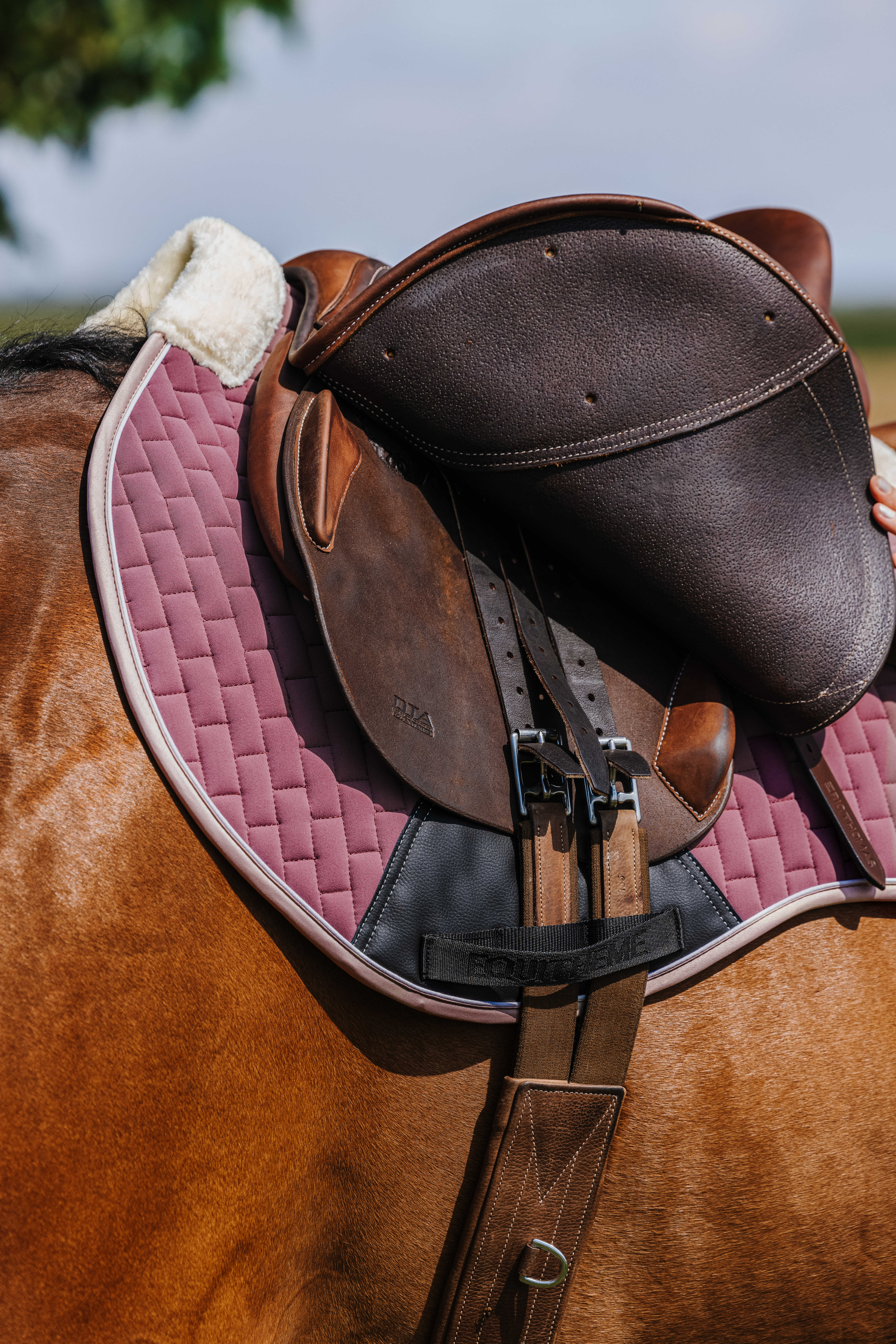 Equitheme Dinard Saddle Pad Antique pink - 4