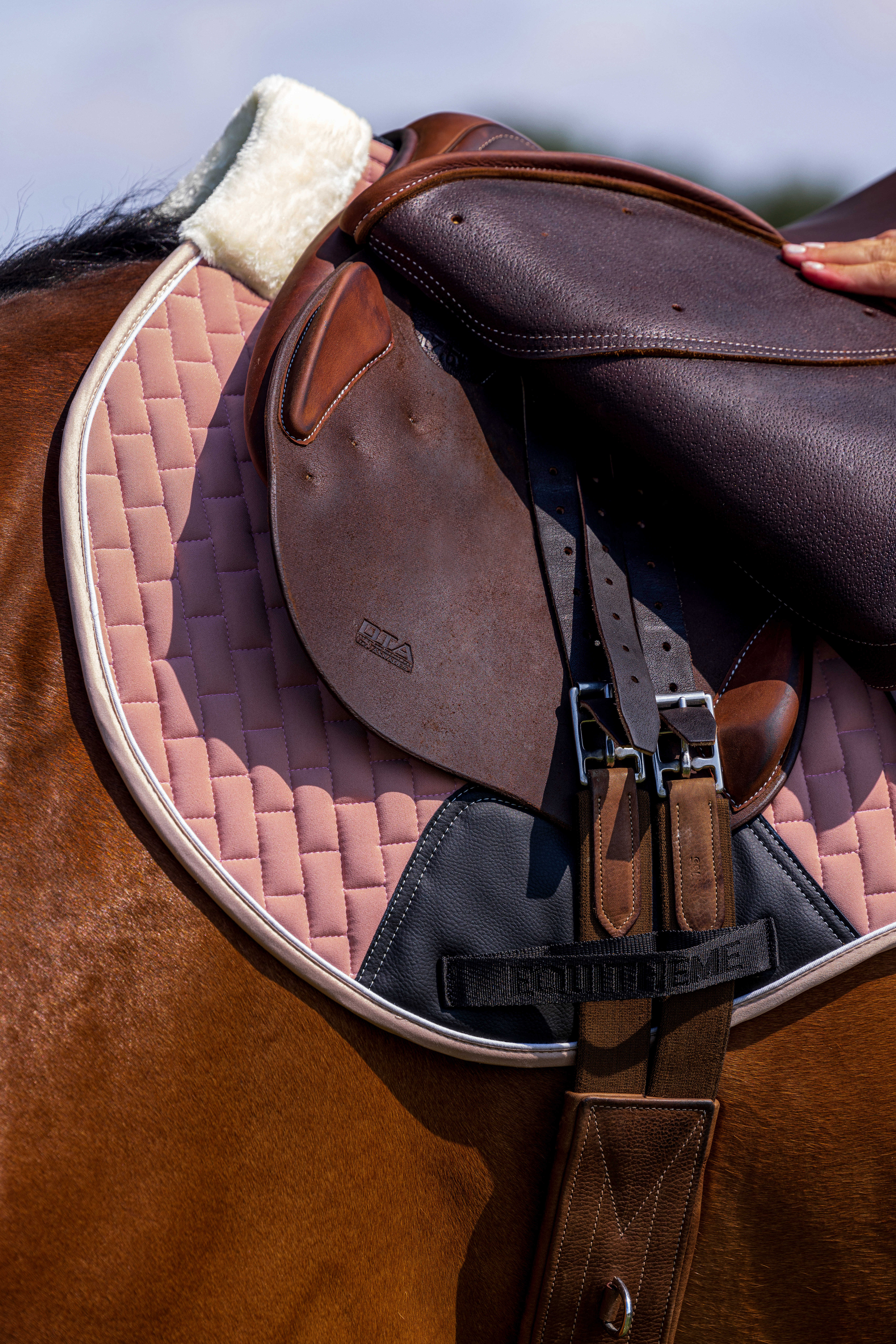Equitheme Dinard Saddle Pad Pink - 4