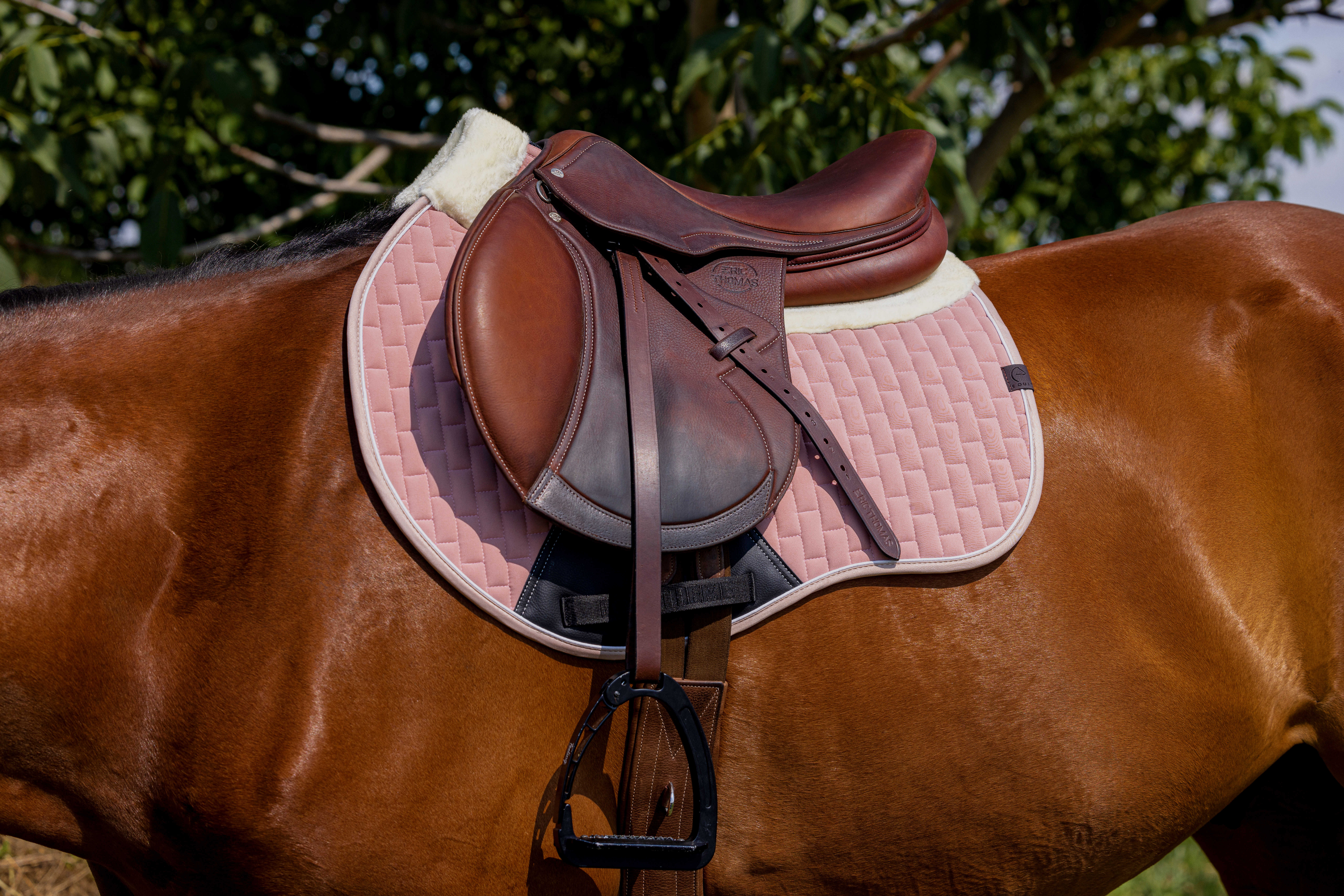 Equitheme Dinard Saddle Pad Pink - 2