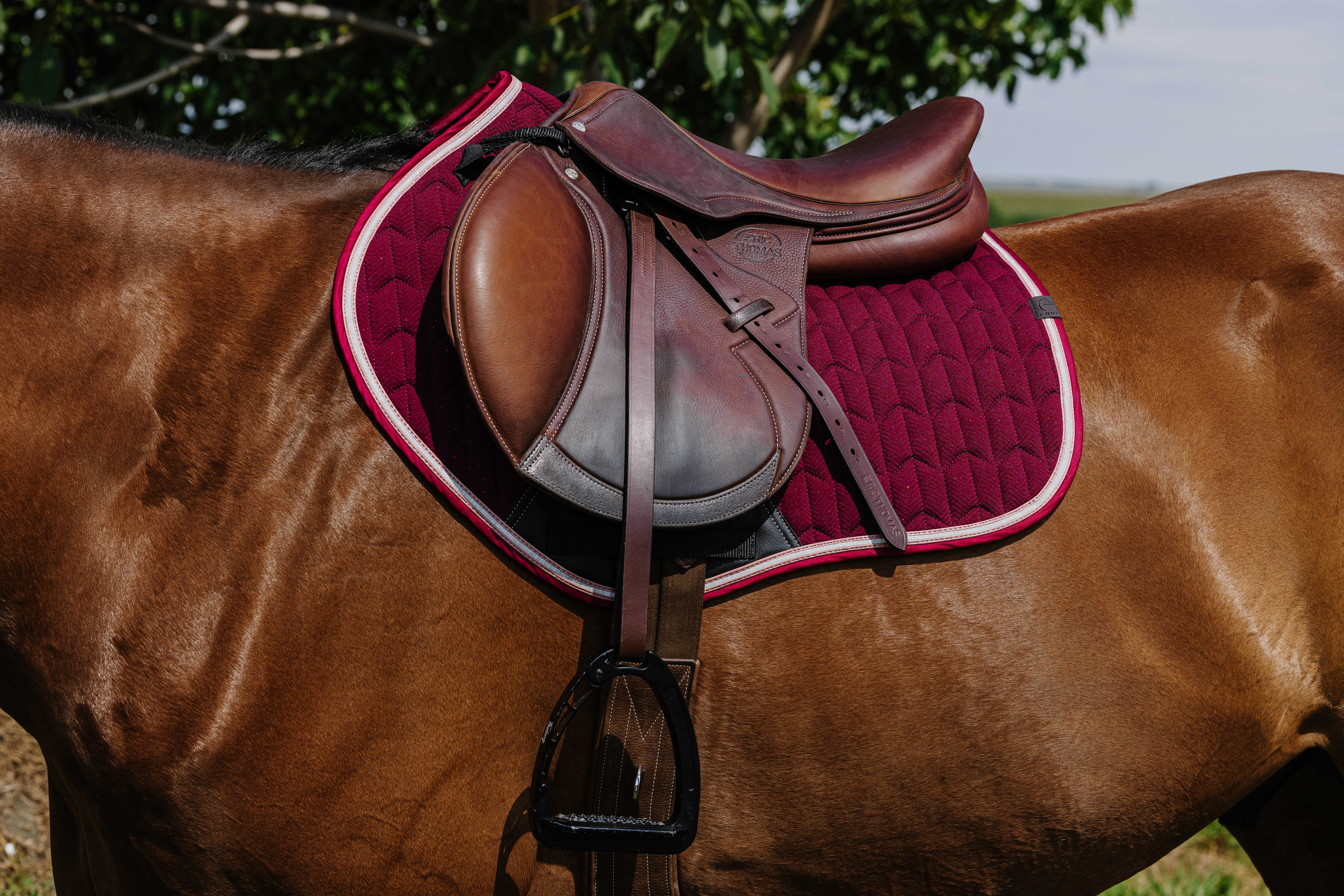 Equitheme Eclat Schabrak Burgundy - 2