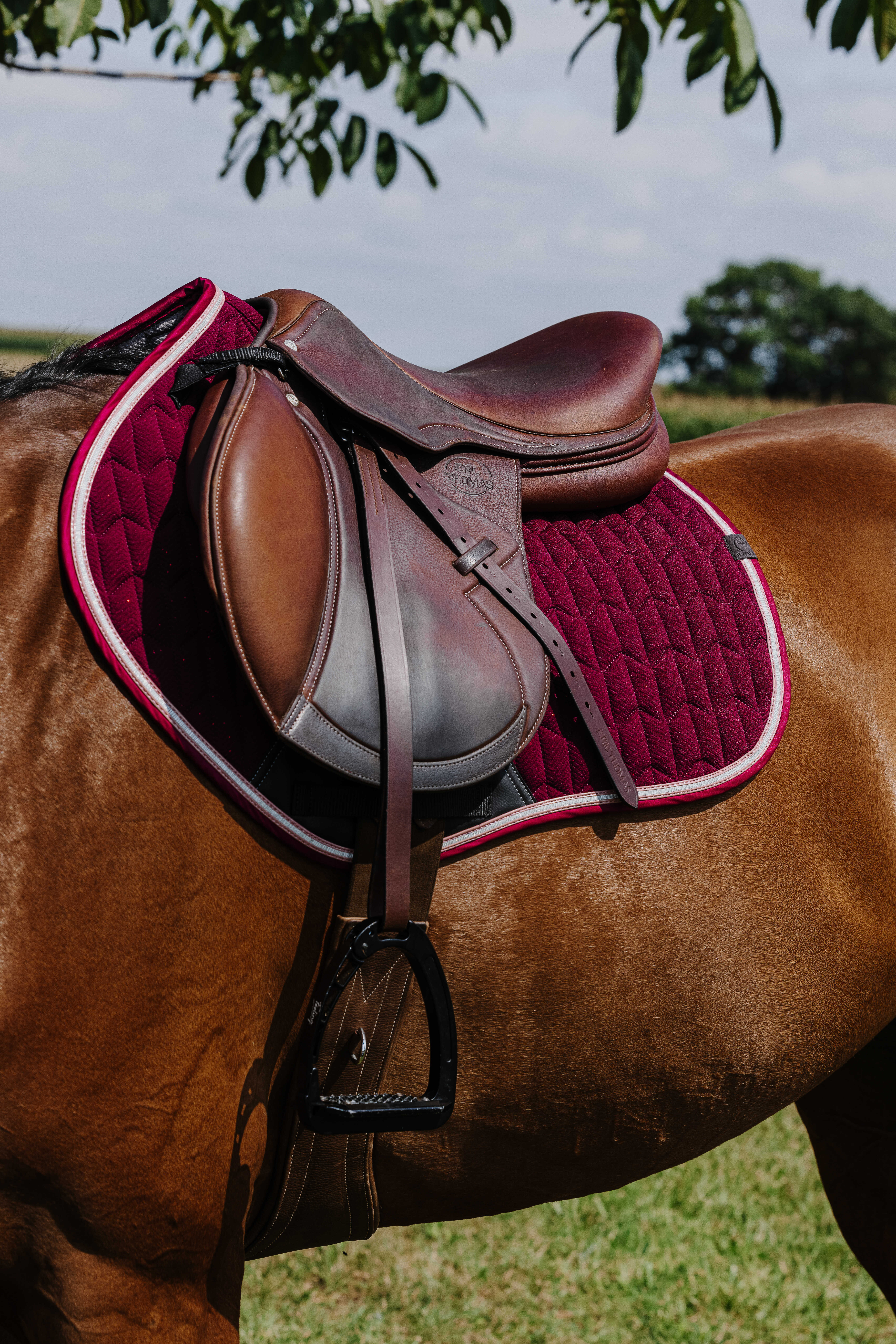 Equitheme Eclat Schabrak Burgundy - 3