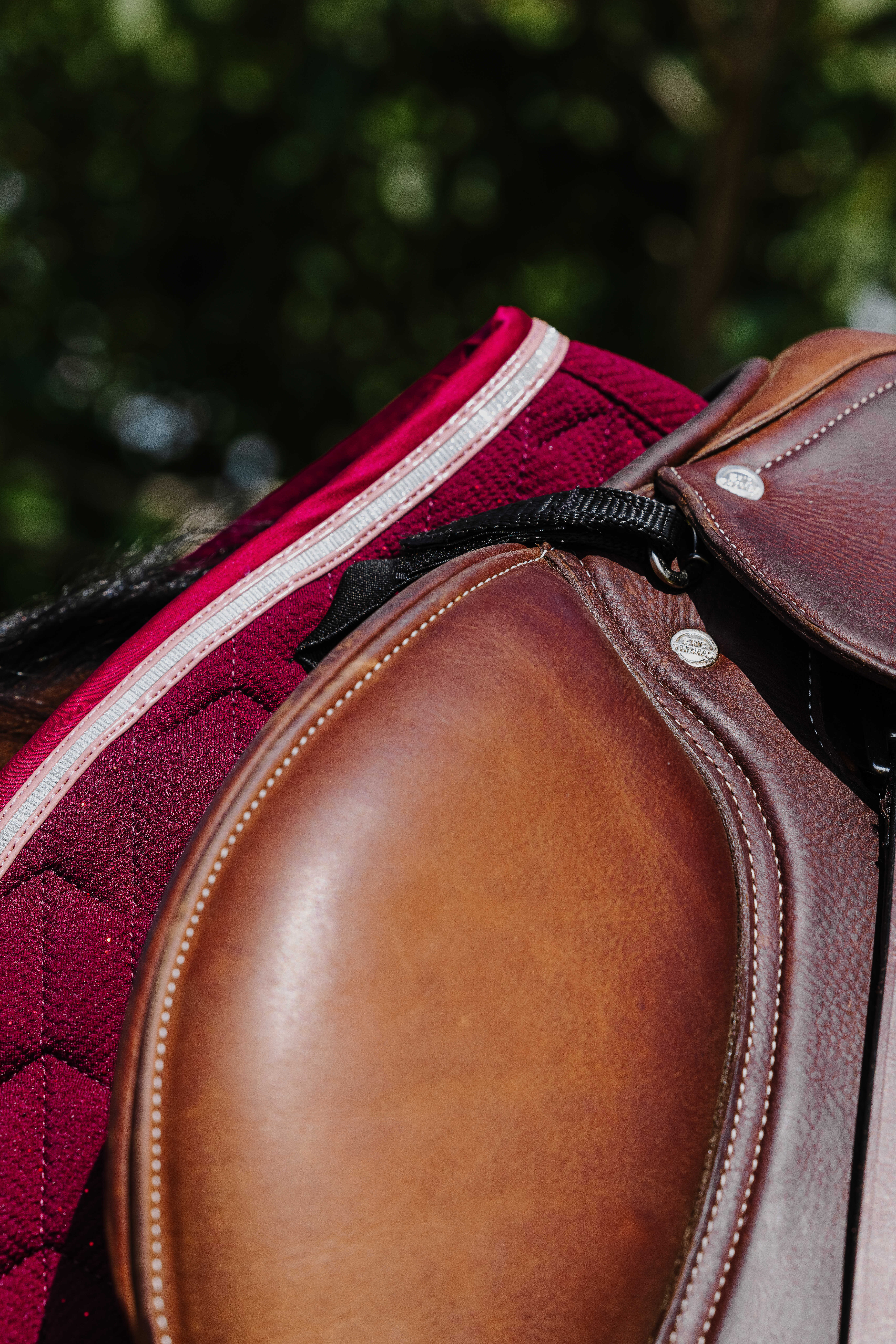 Equitheme Eclat Schabrak Burgundy - 4