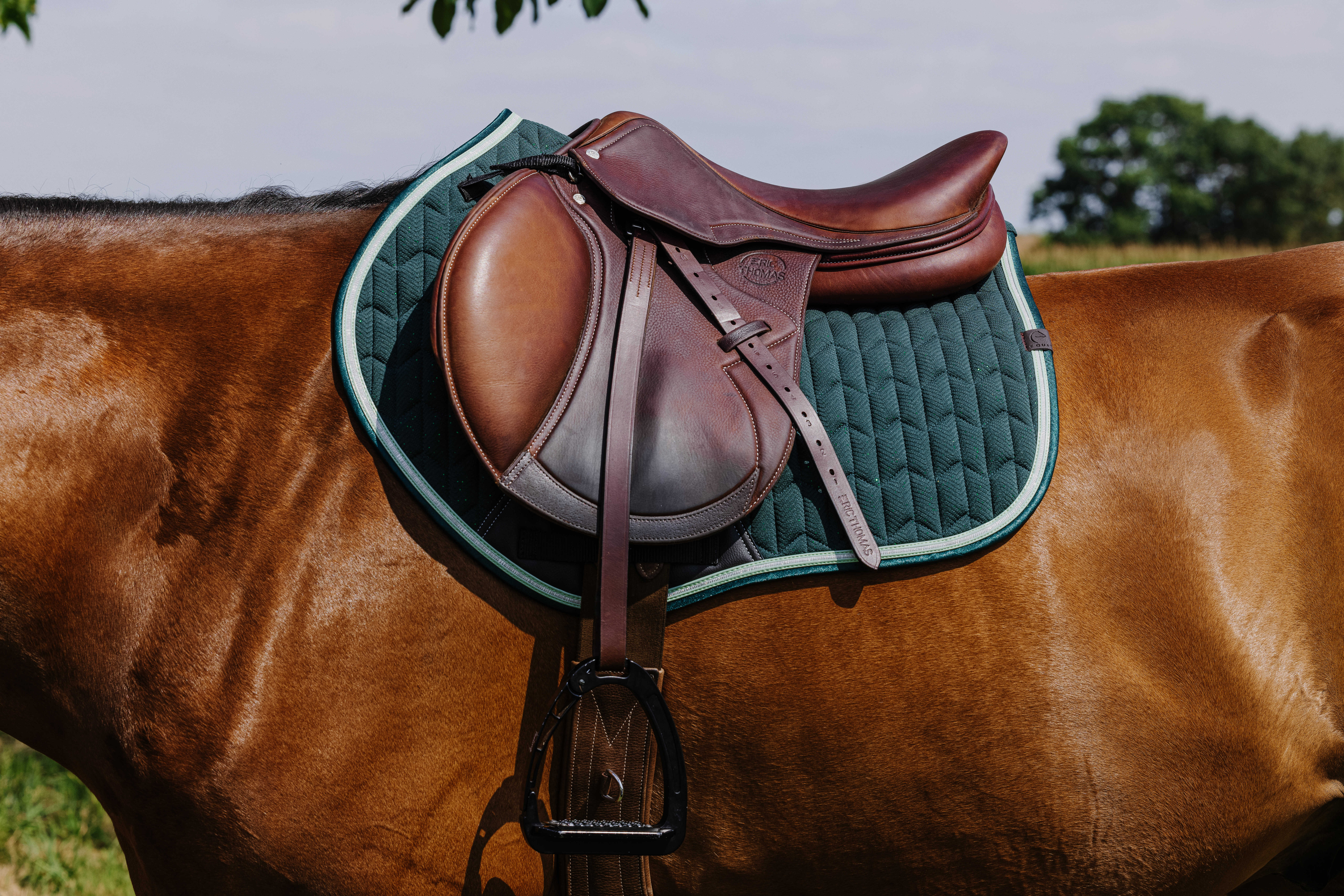 Equitheme Eclat Schabrak Grön - 2