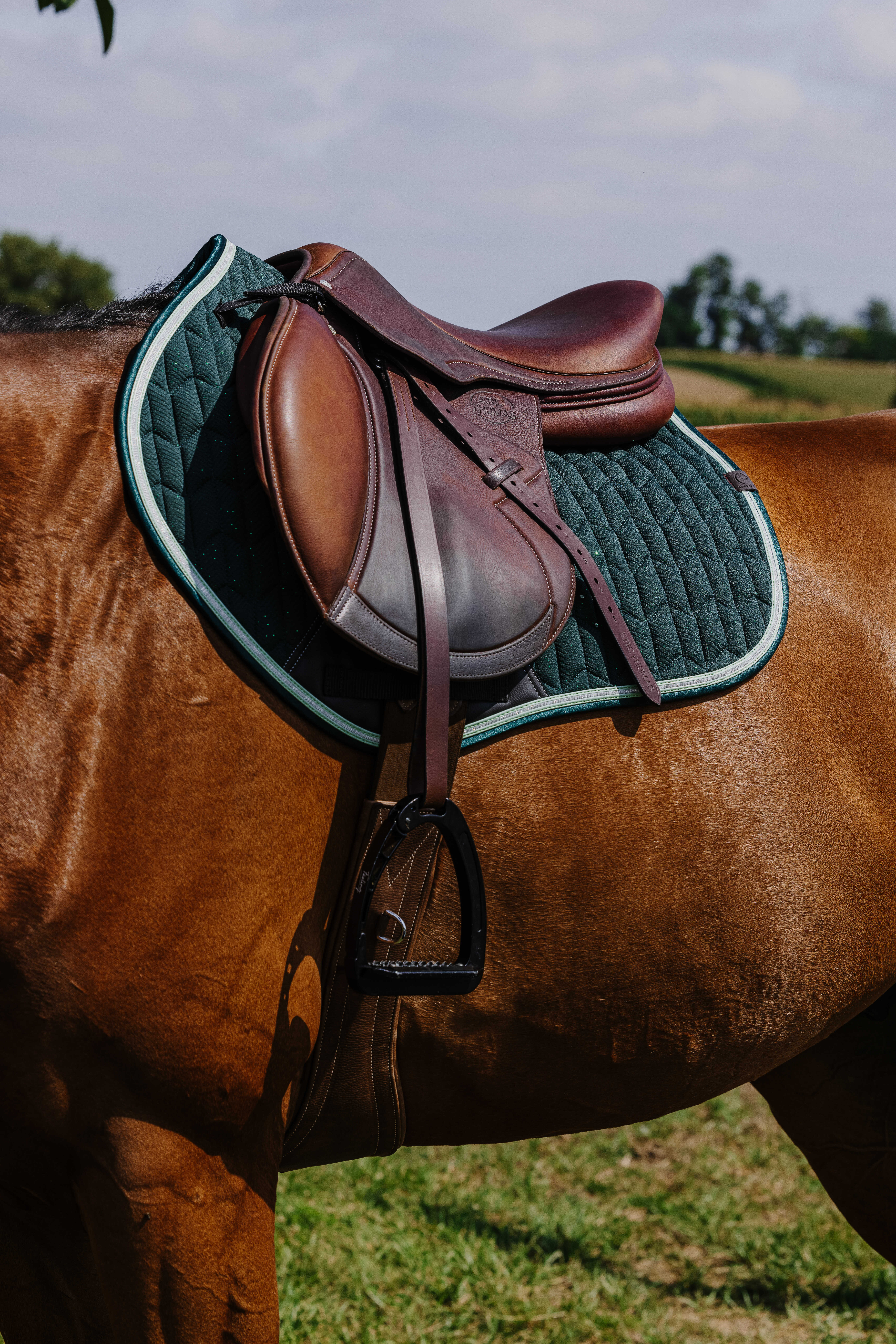 Equitheme Eclat Schabrak Grön - 3