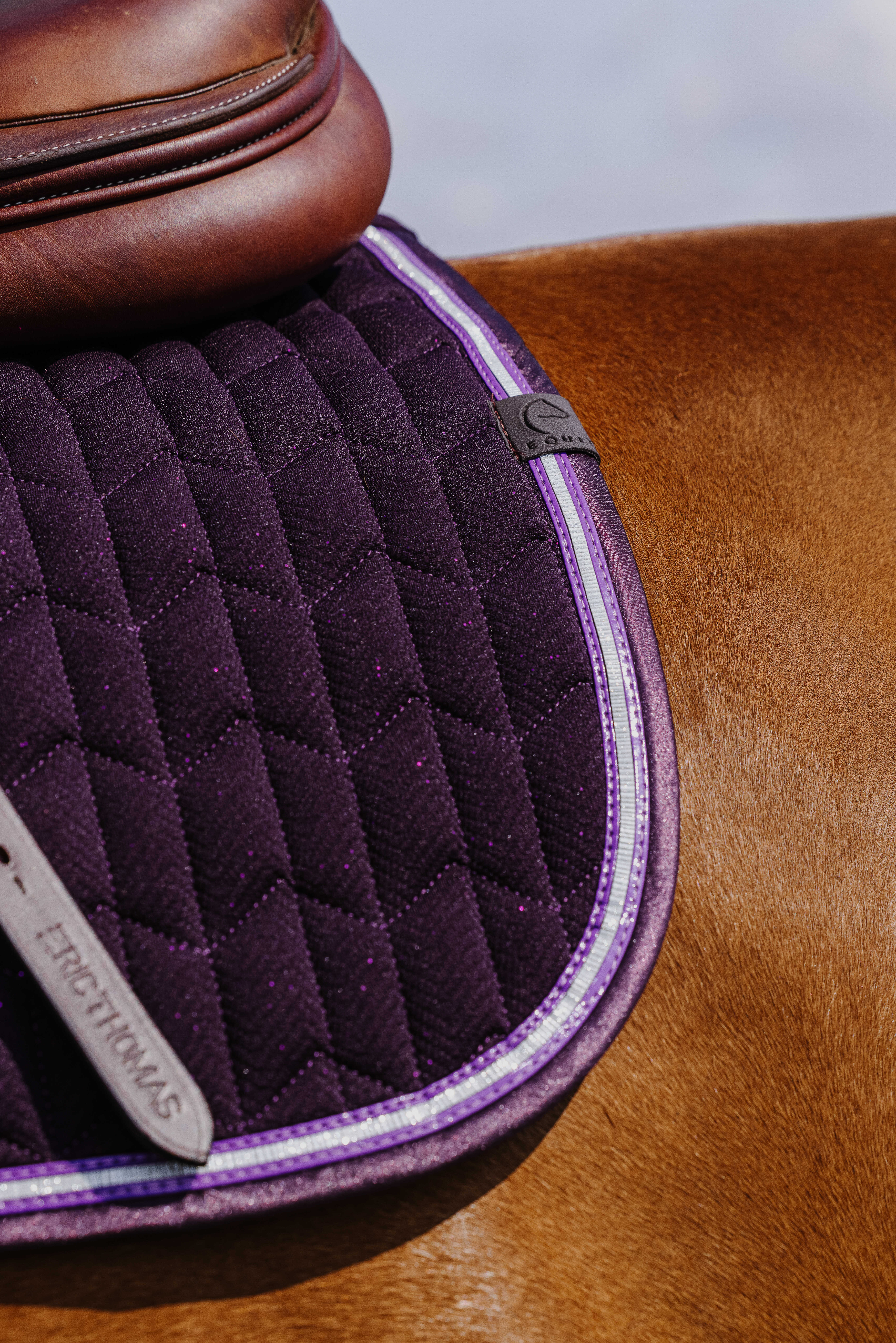 Equitheme Eclat Schabrak Lila - 4