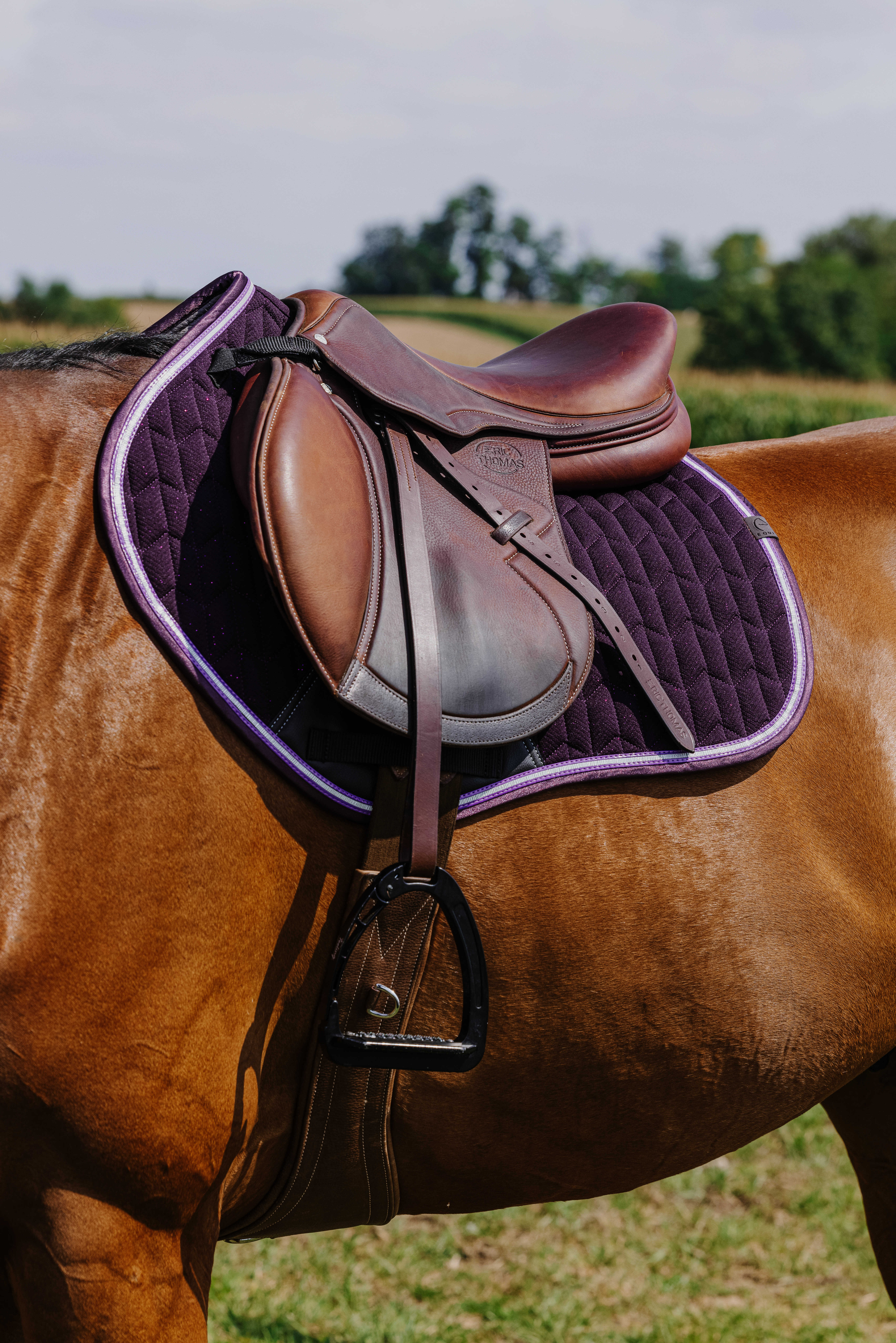 Equitheme Eclat Schabrak Lila - 3