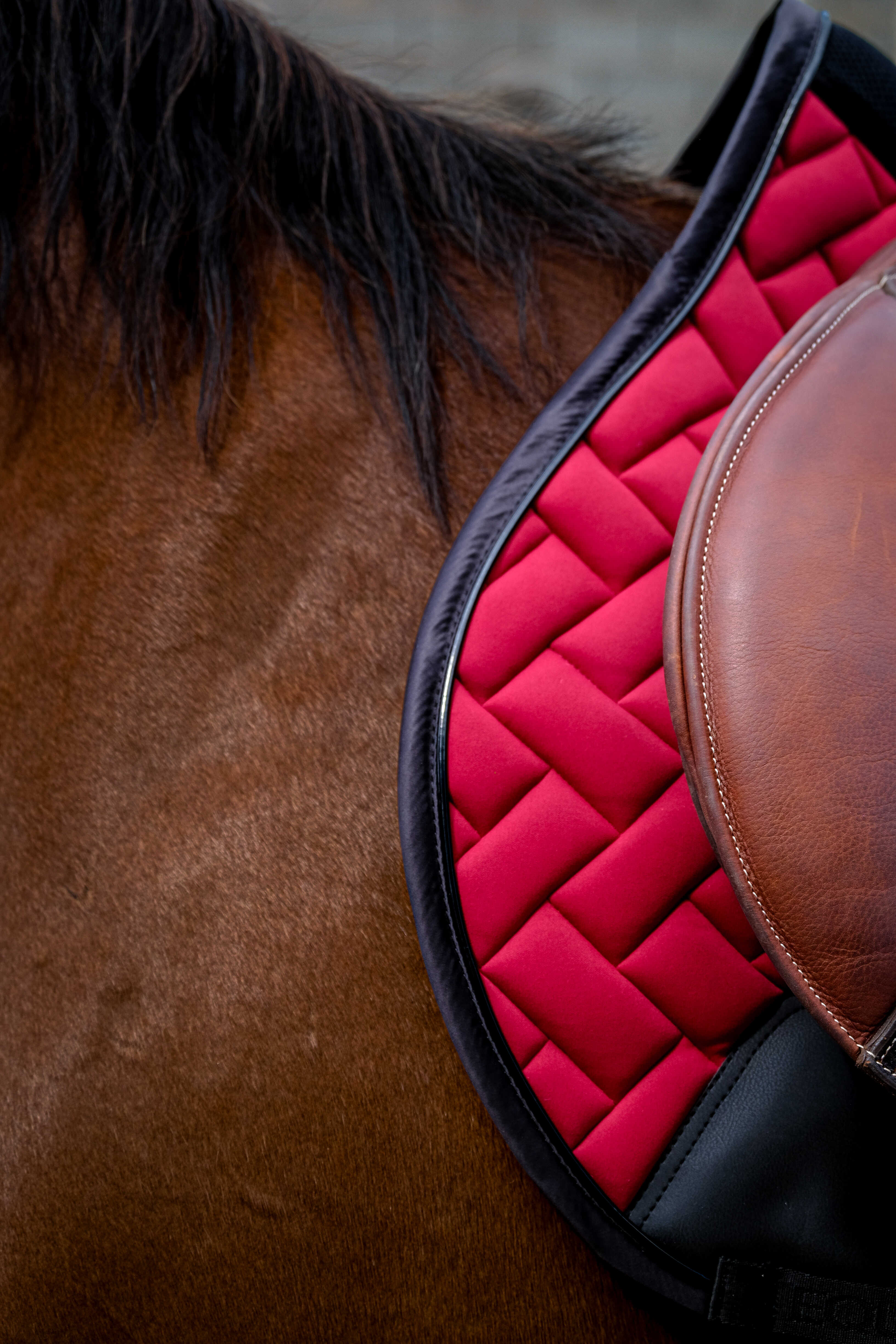 Equitheme Impulsion Saddle Pad Burgundy - 4