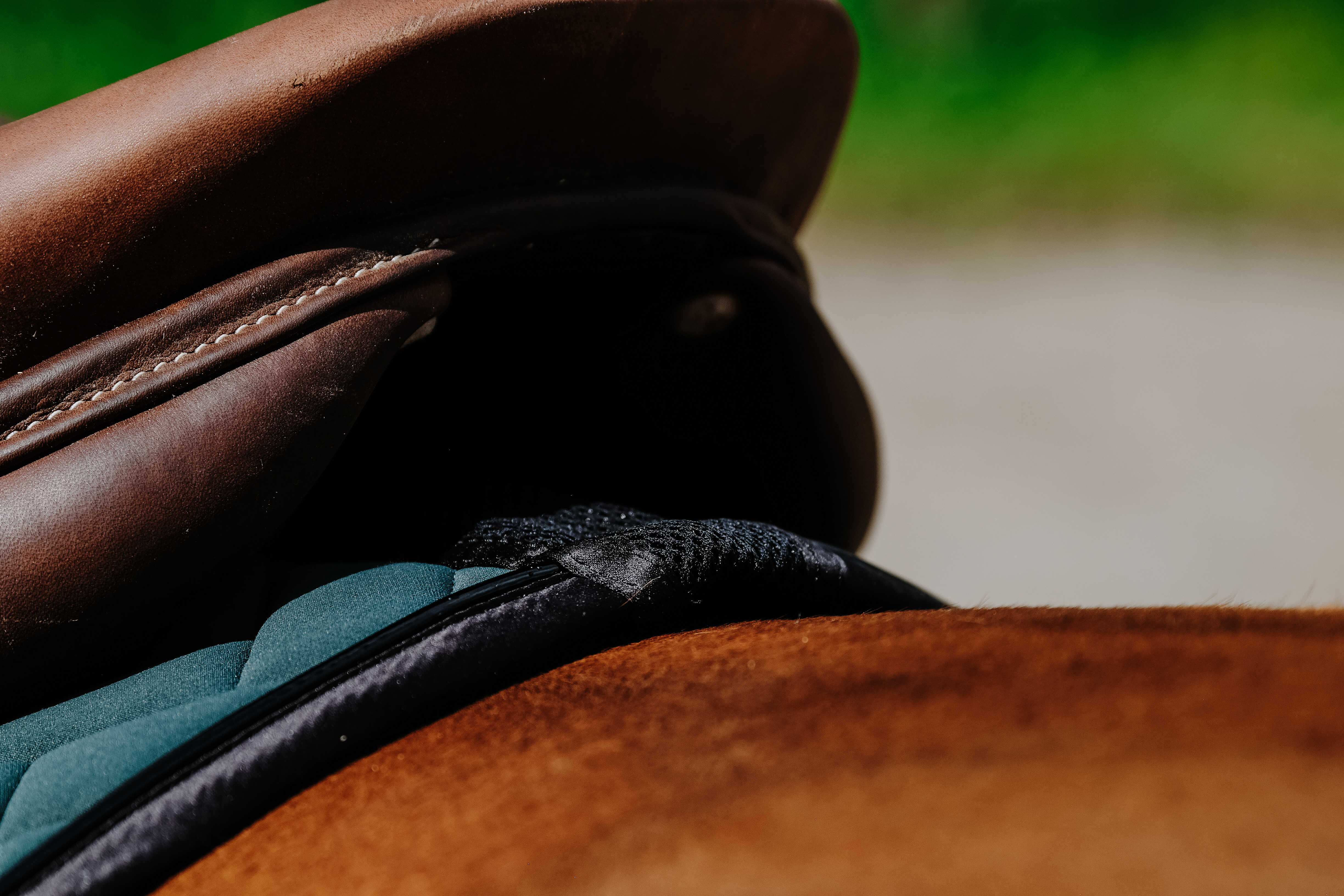 Equitheme Impulsion Schabrak Grön - 7