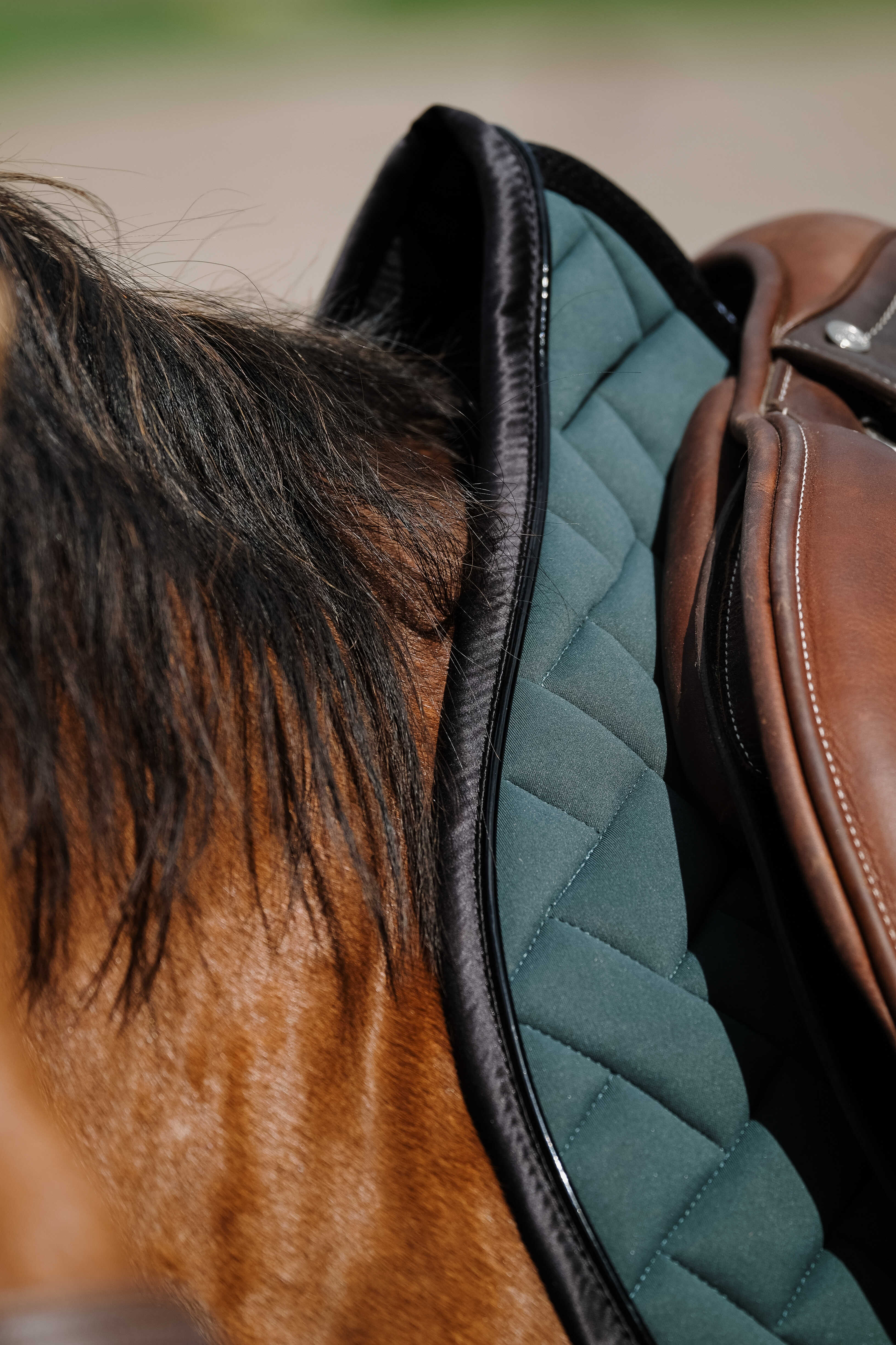 Equitheme Impulsion Satulahuopa Vihreä - 4