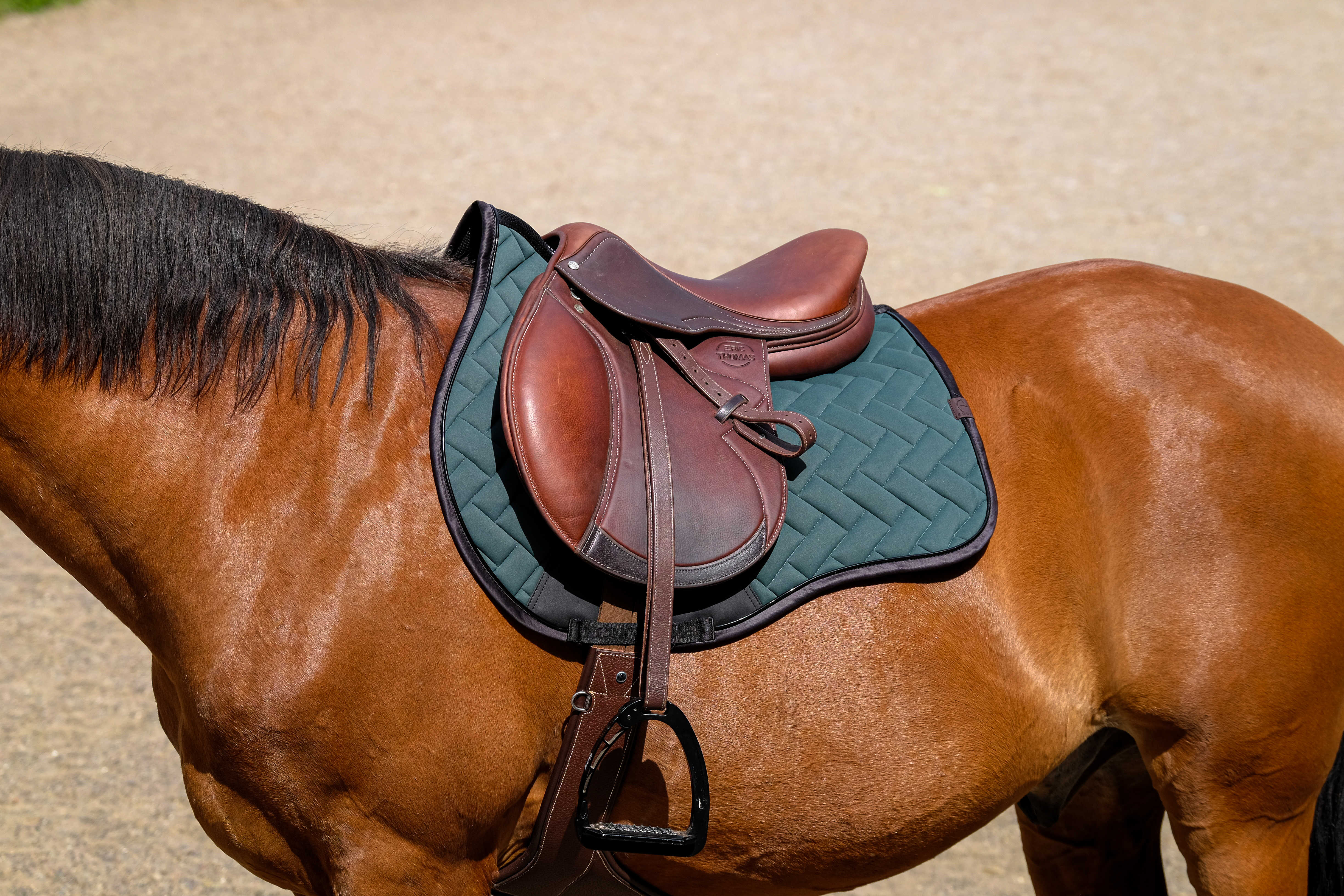 Equitheme Impulsion Satulahuopa Vihreä - 2
