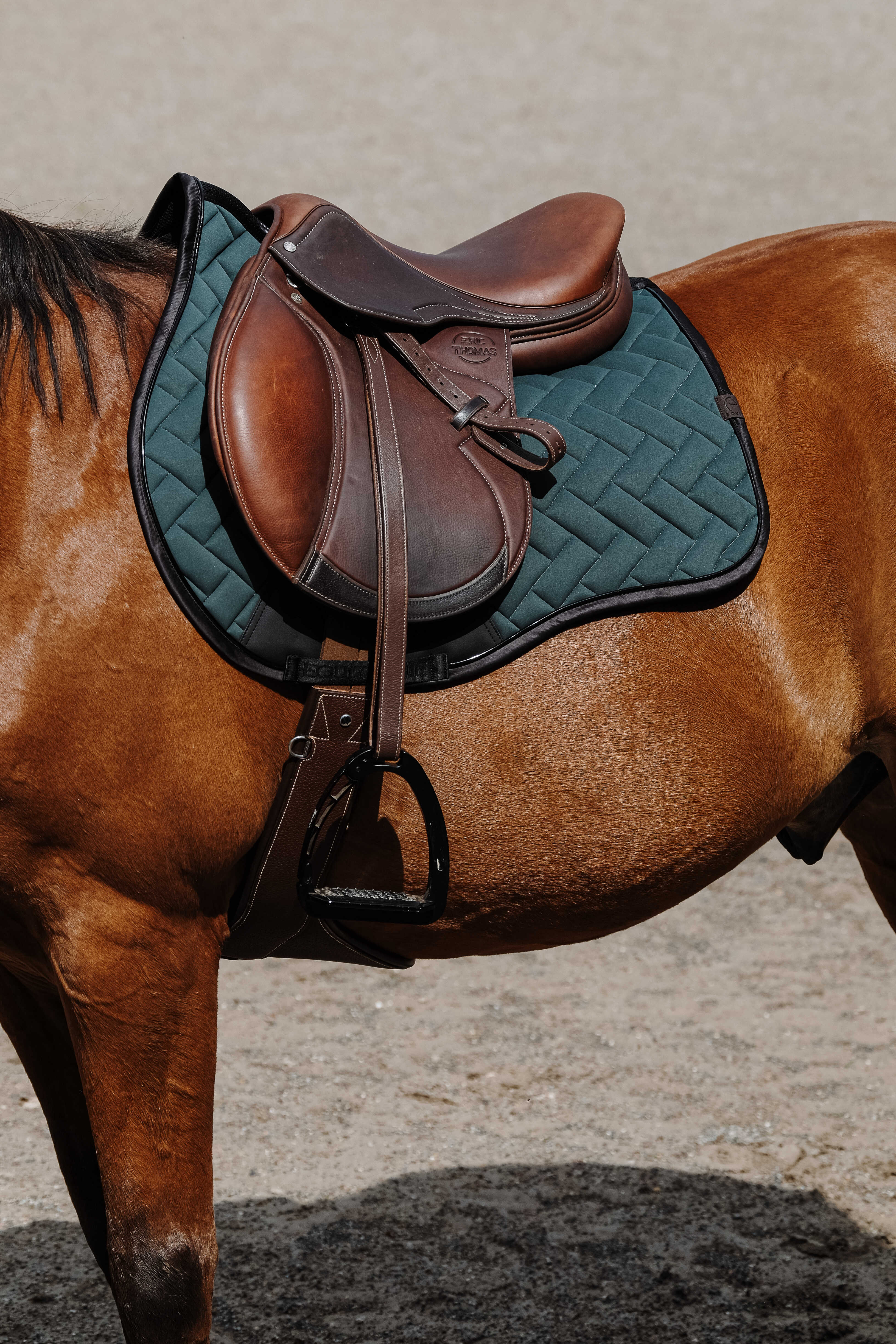 Equitheme Impulsion Schabrak Grön - 3