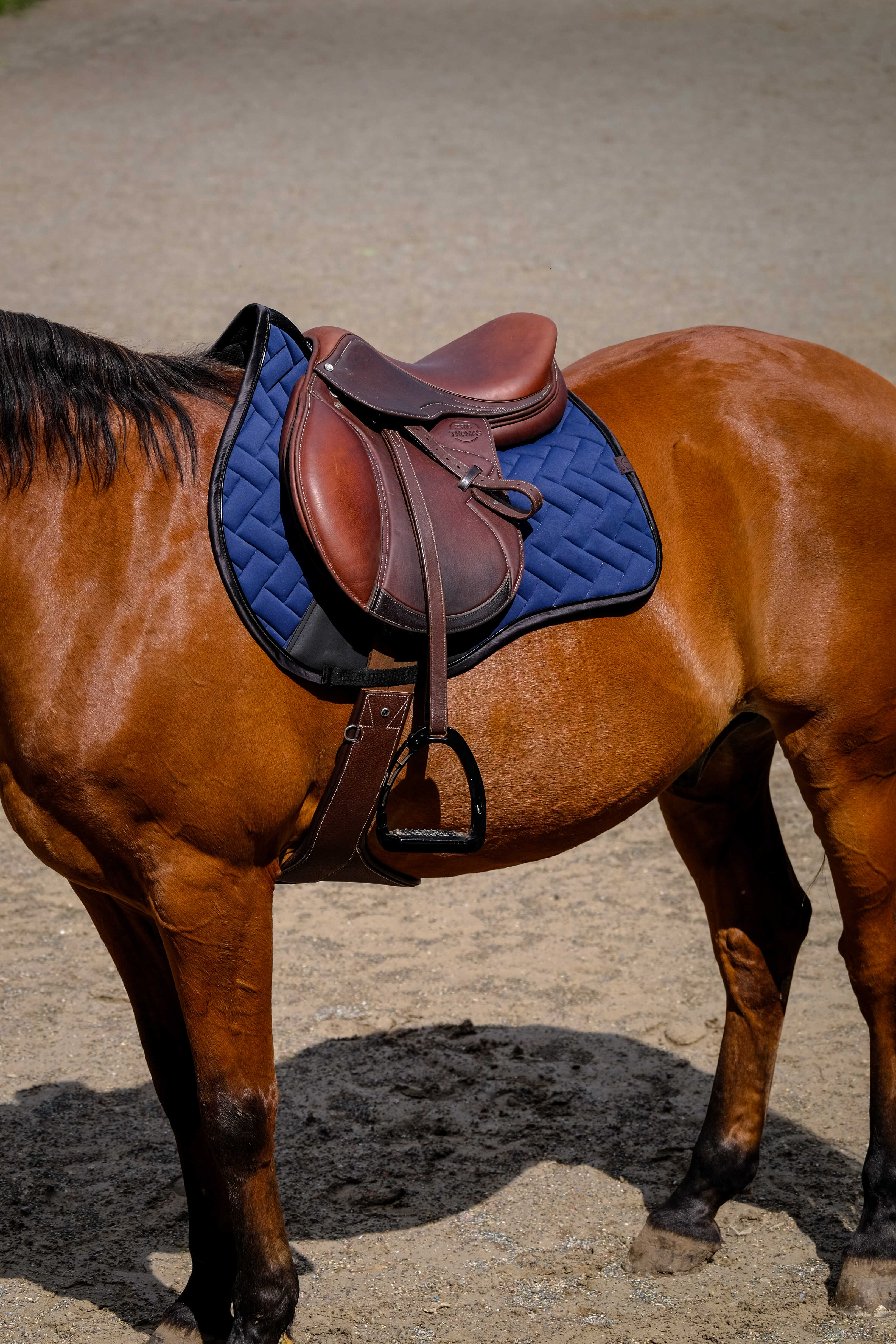 Equitheme Impulsion Saddle Pad Navy blue - 2