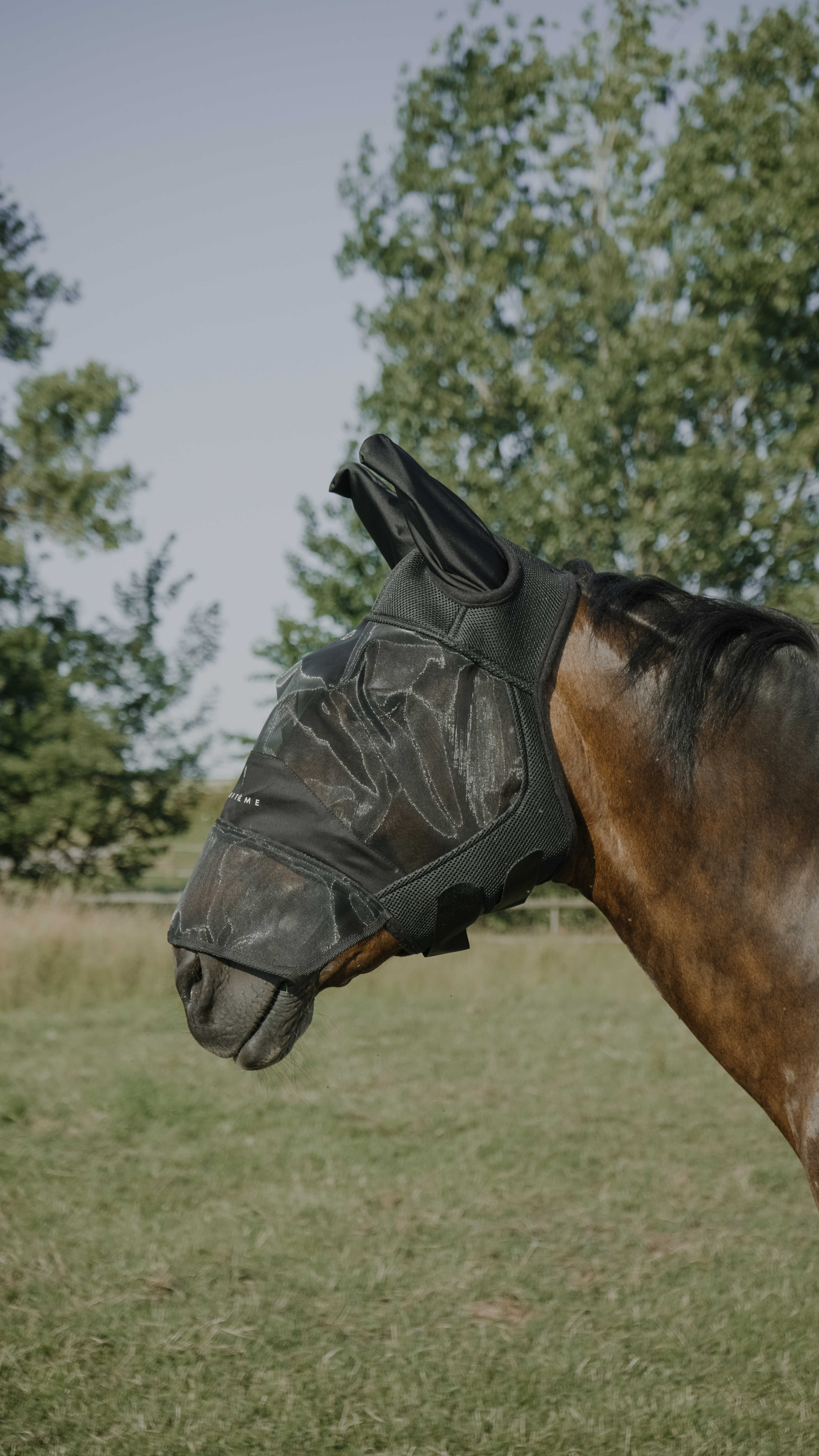 Equitheme Mesh UV/Fly Hood with Nose Black