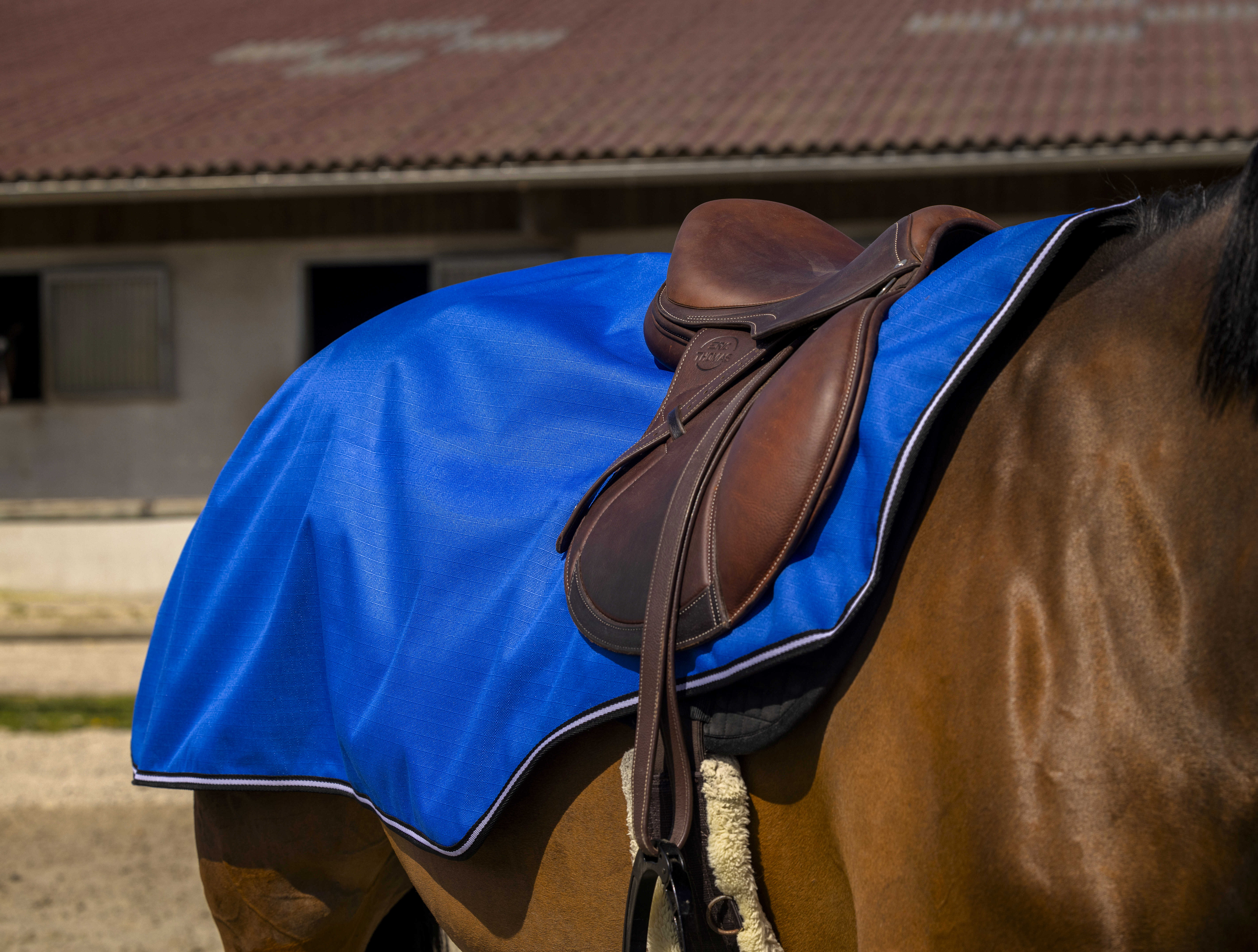 Equitheme Tyrex Aisance 1200 D Ratsastusloimi Royal Blue - 2