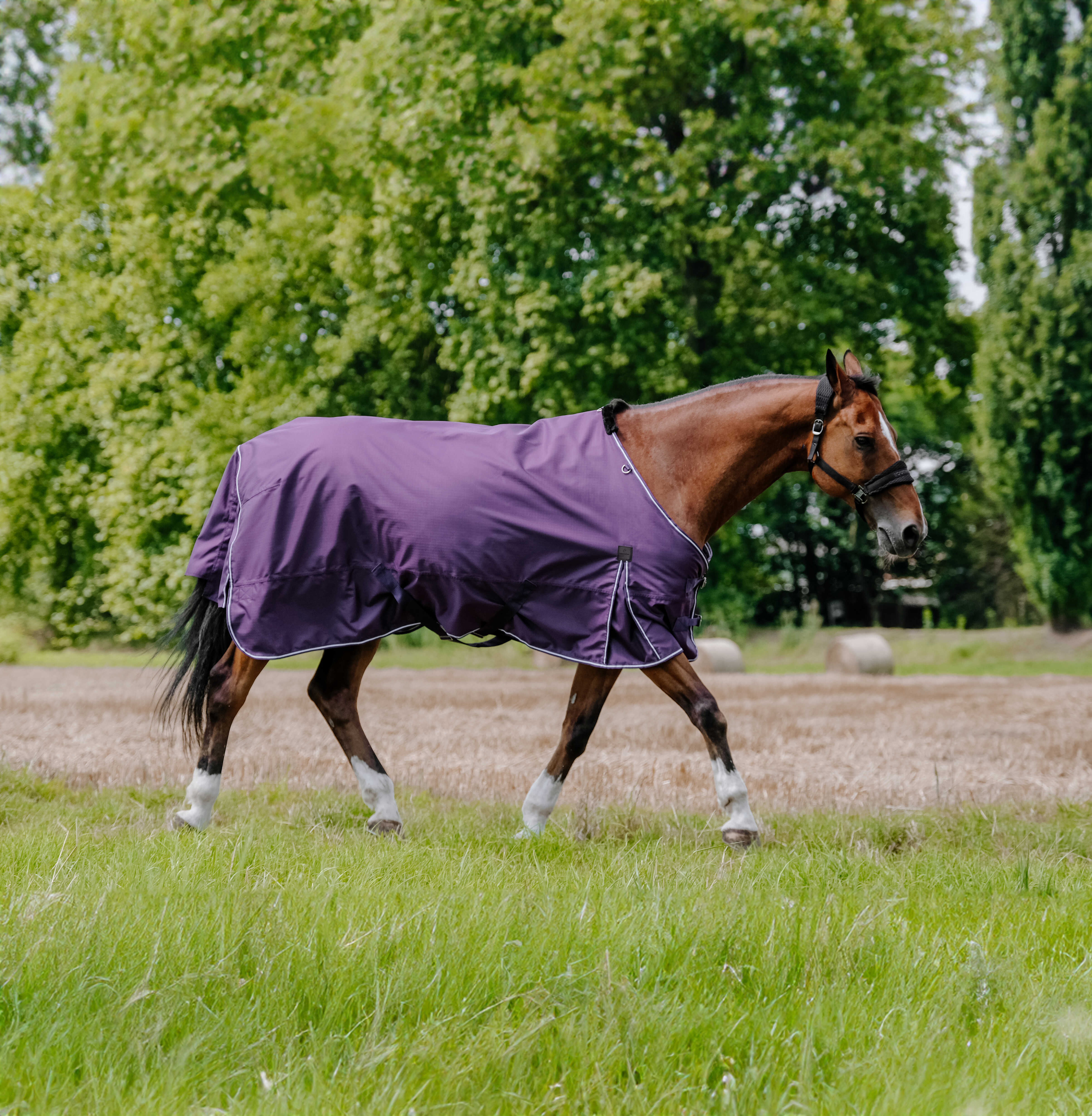Equitheme Tyrex Aisance 600 D Turnout Rug, 50 g Plum