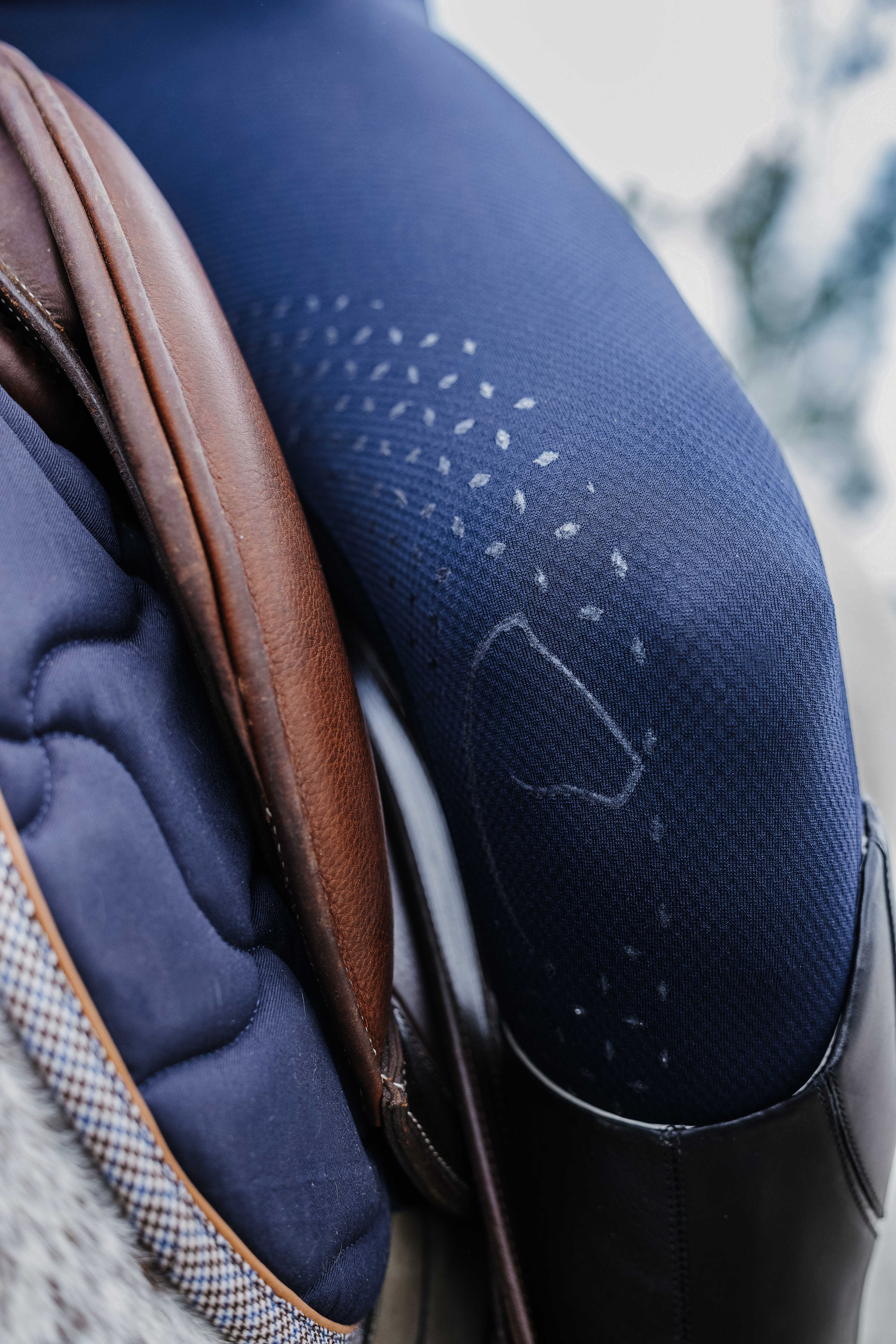 Equitheme Acacia Riding Tights Navy blue - 4