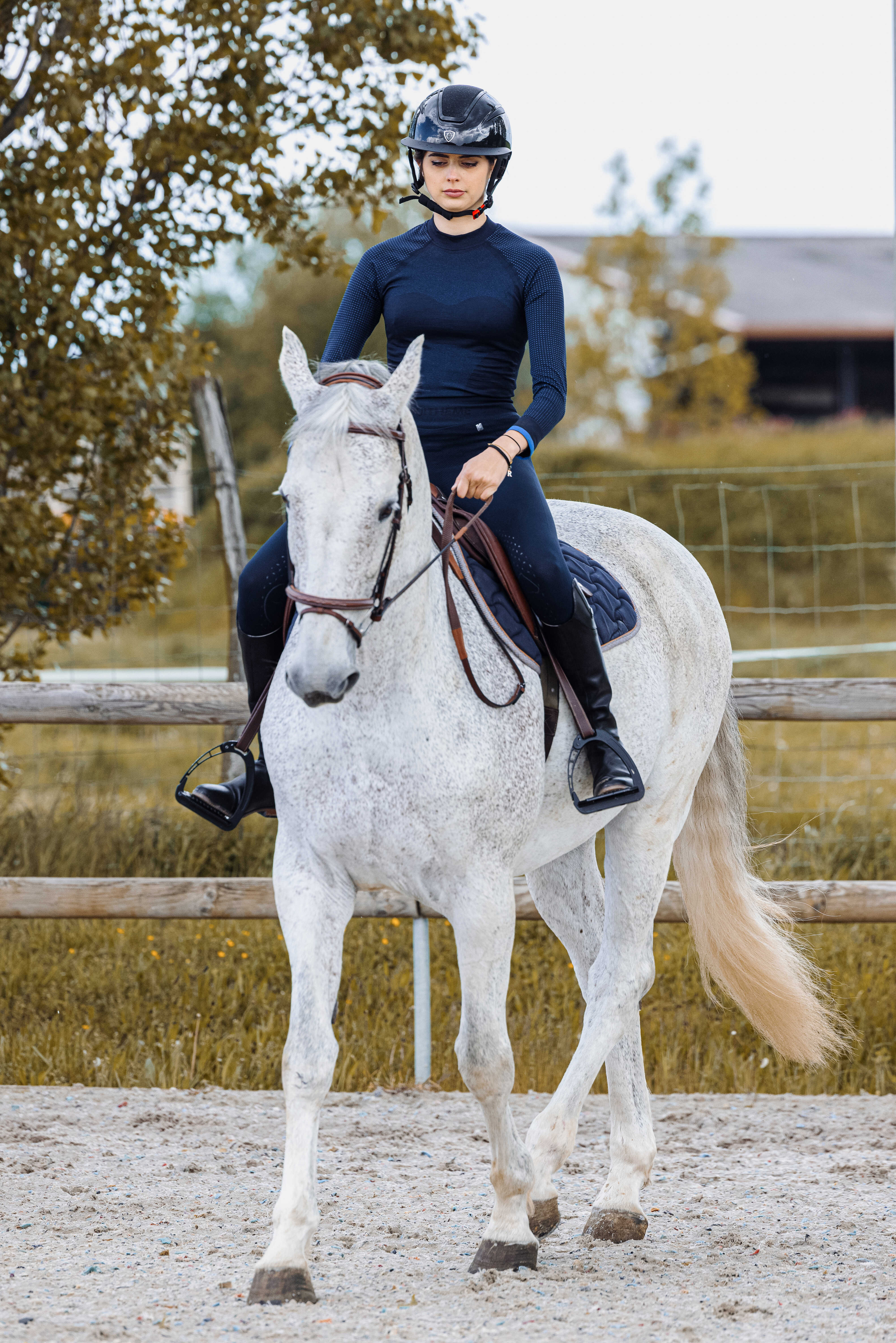 Equitheme Acacia Riding Tights Navy blue - 3