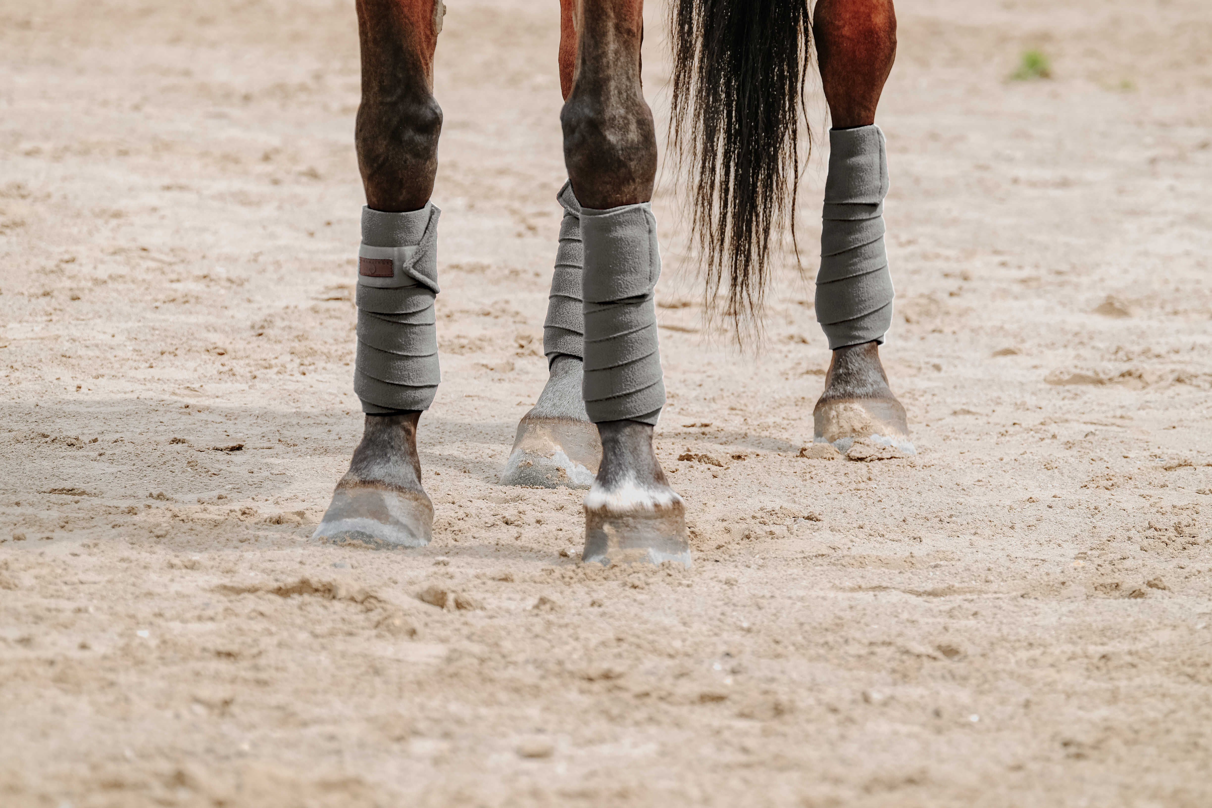 Equitheme Pintelit Harmaa - 2