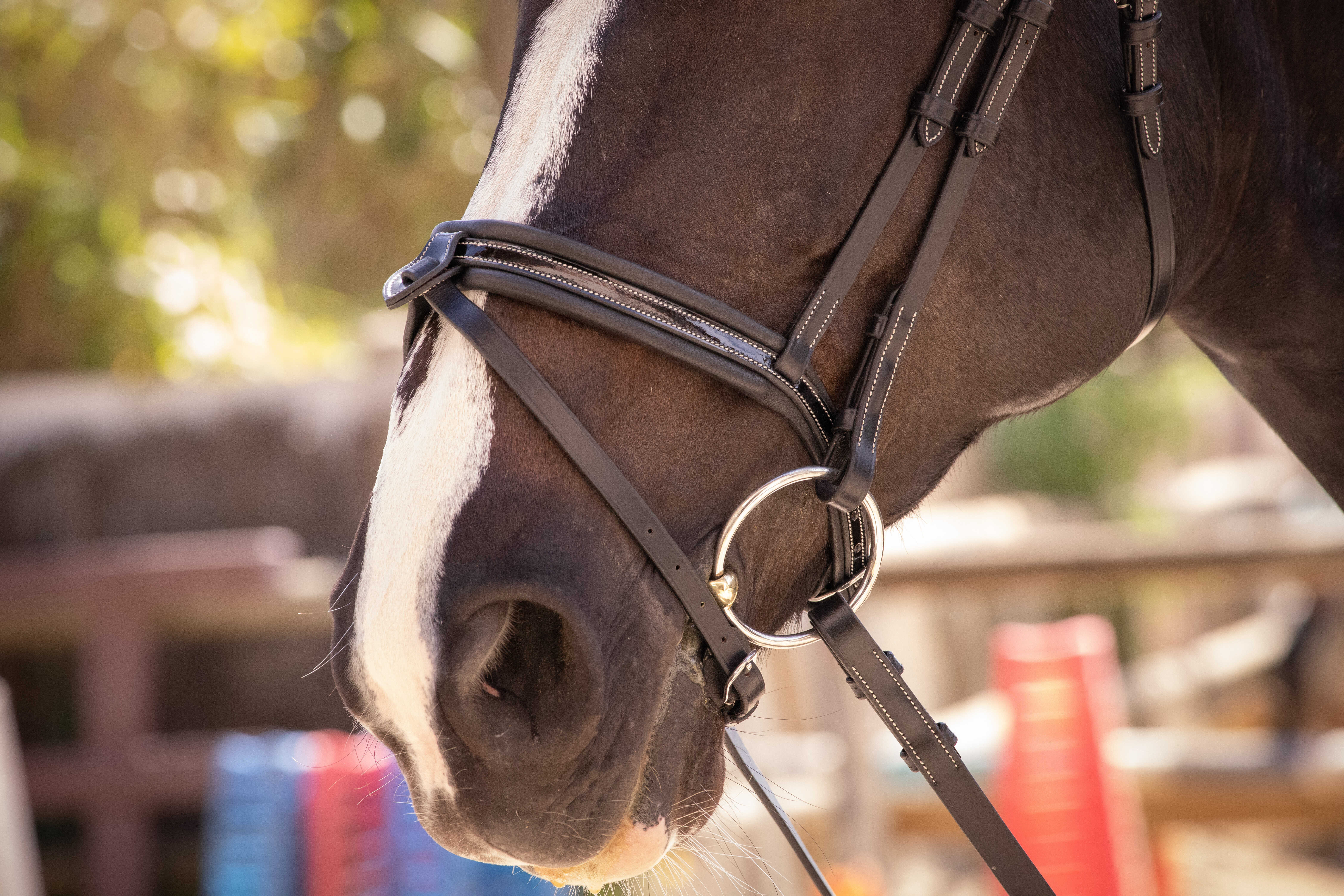Penelope Smoothie Bridle Black - 3