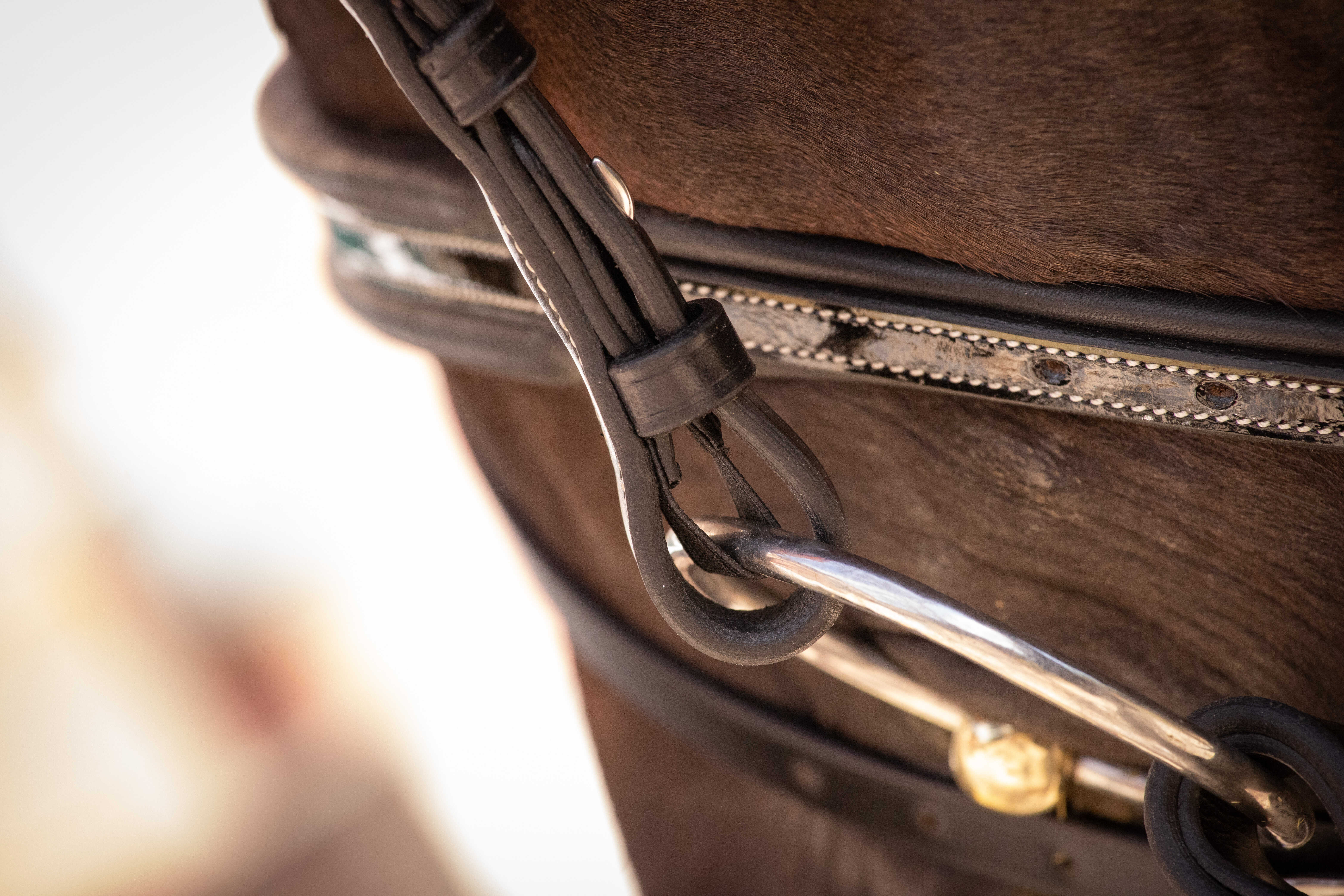 Penelope Smoothie Bridle Black - 4