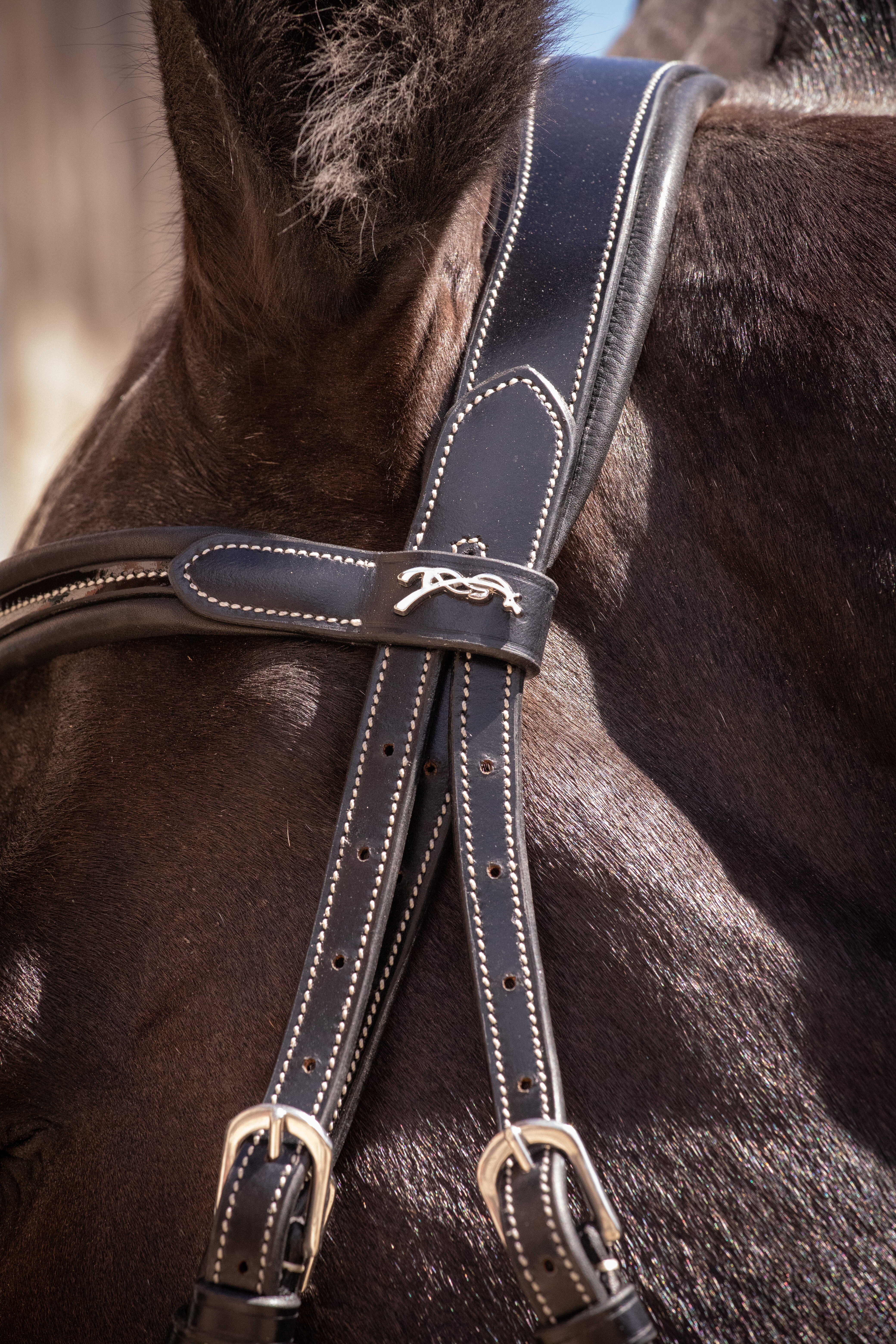 Penelope Smoothie Bridle Black - 2