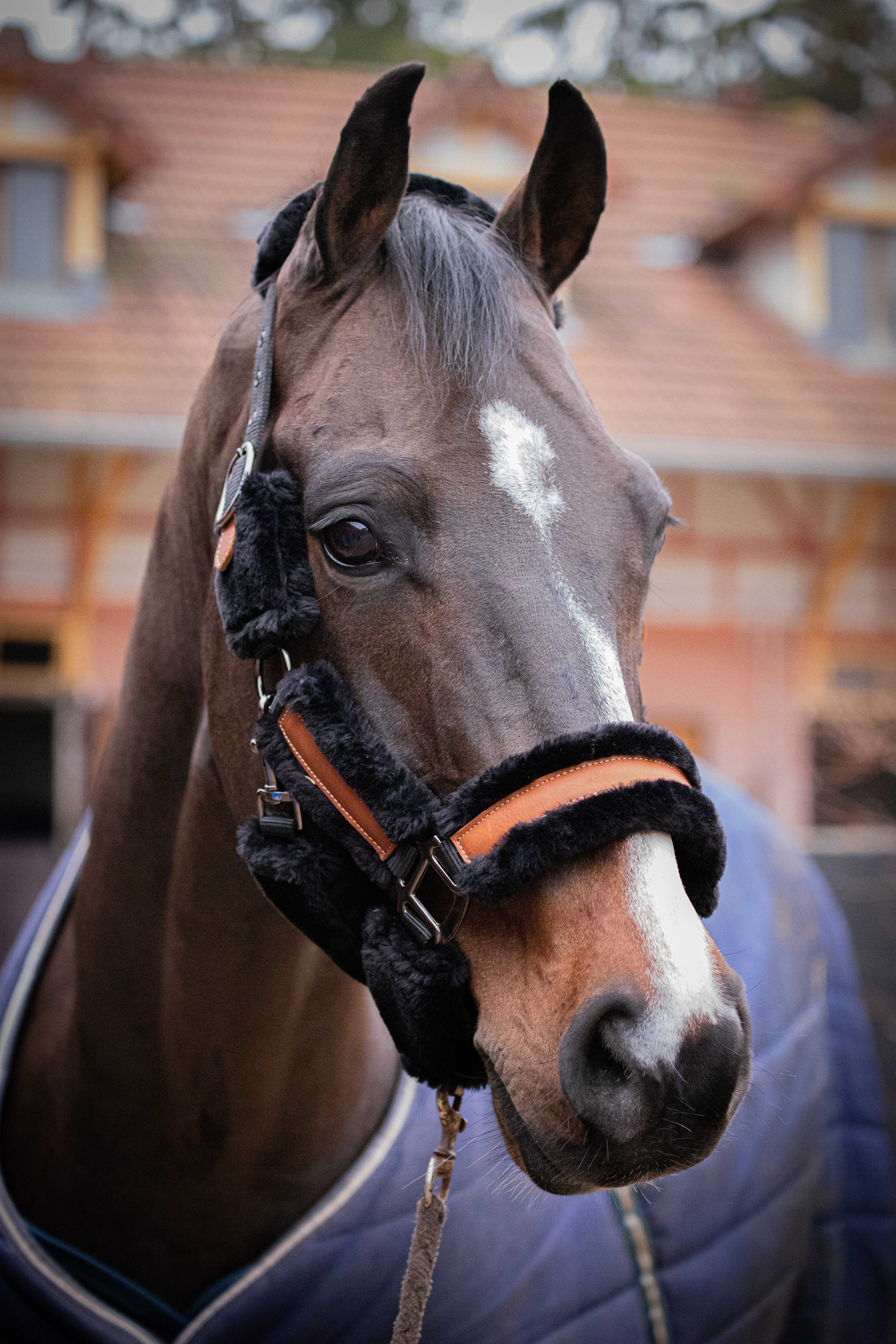 Penelope Soft Grimma Svart/Svart (Shetland)