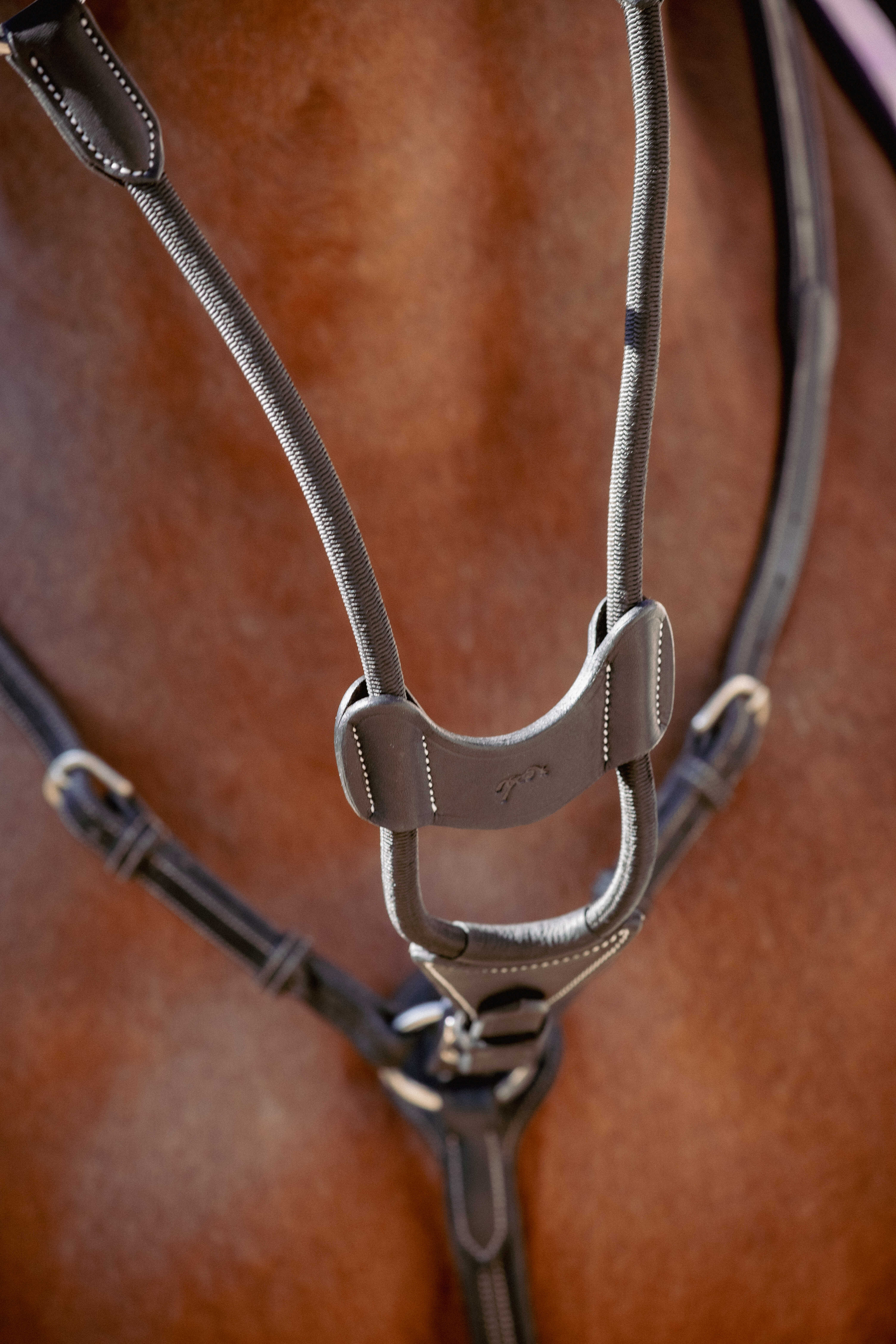 Pénélope Elastic Bip Light US Martingale Fork Black - 2
